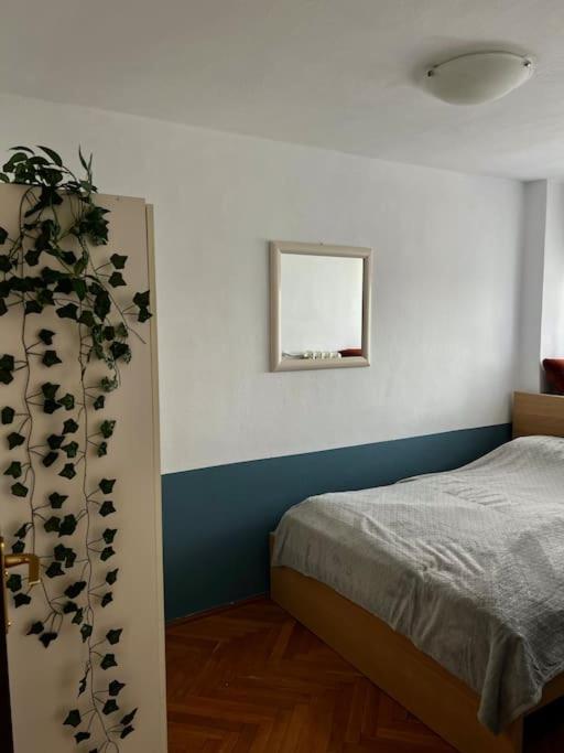 Blue Nest 2 Minuty Do Metro Centrum Apartment