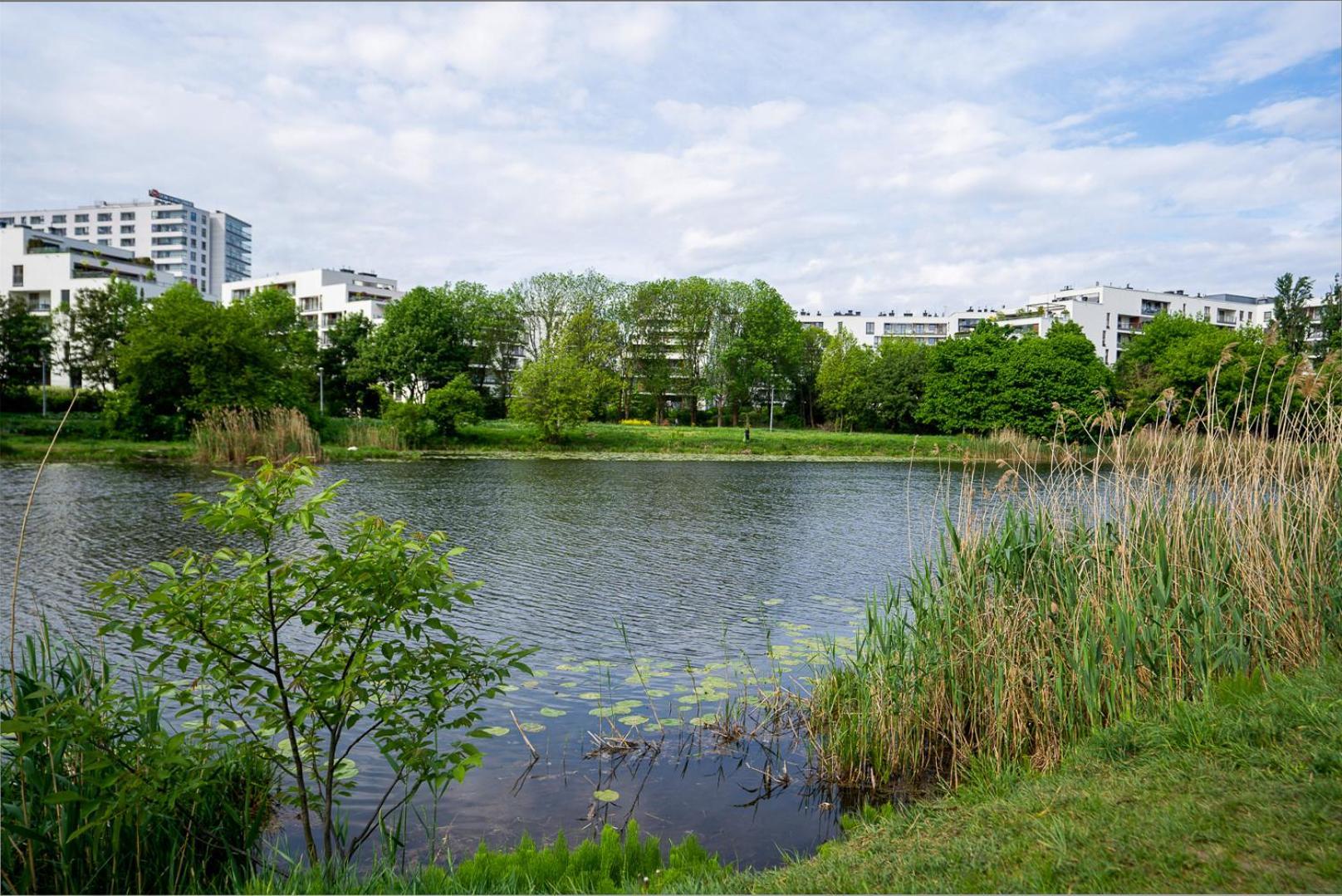 Apartment Studio - City View, Parks Nearby By Rentujemy