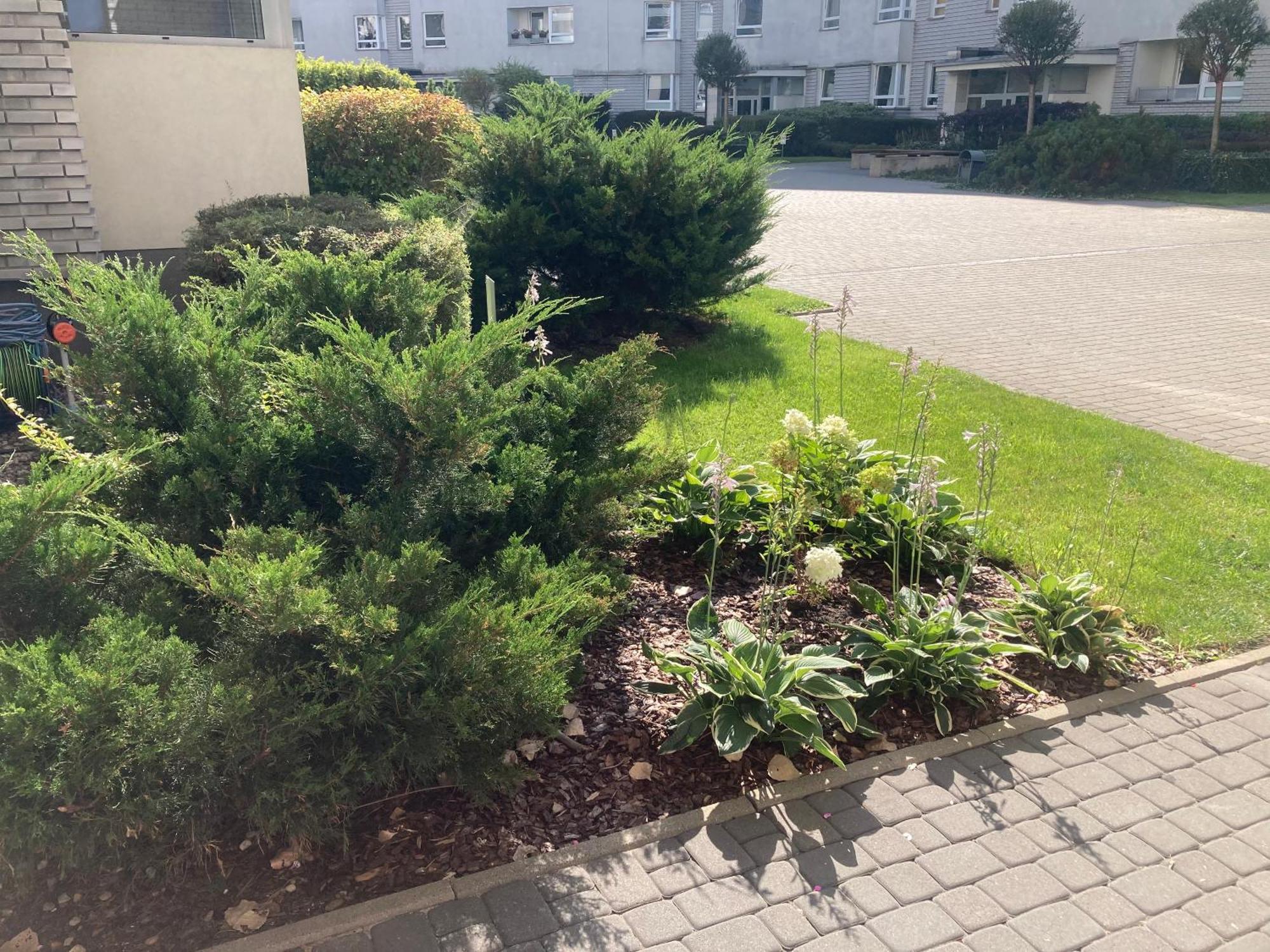 Apartment Przestronny Na Dolnej Warschau