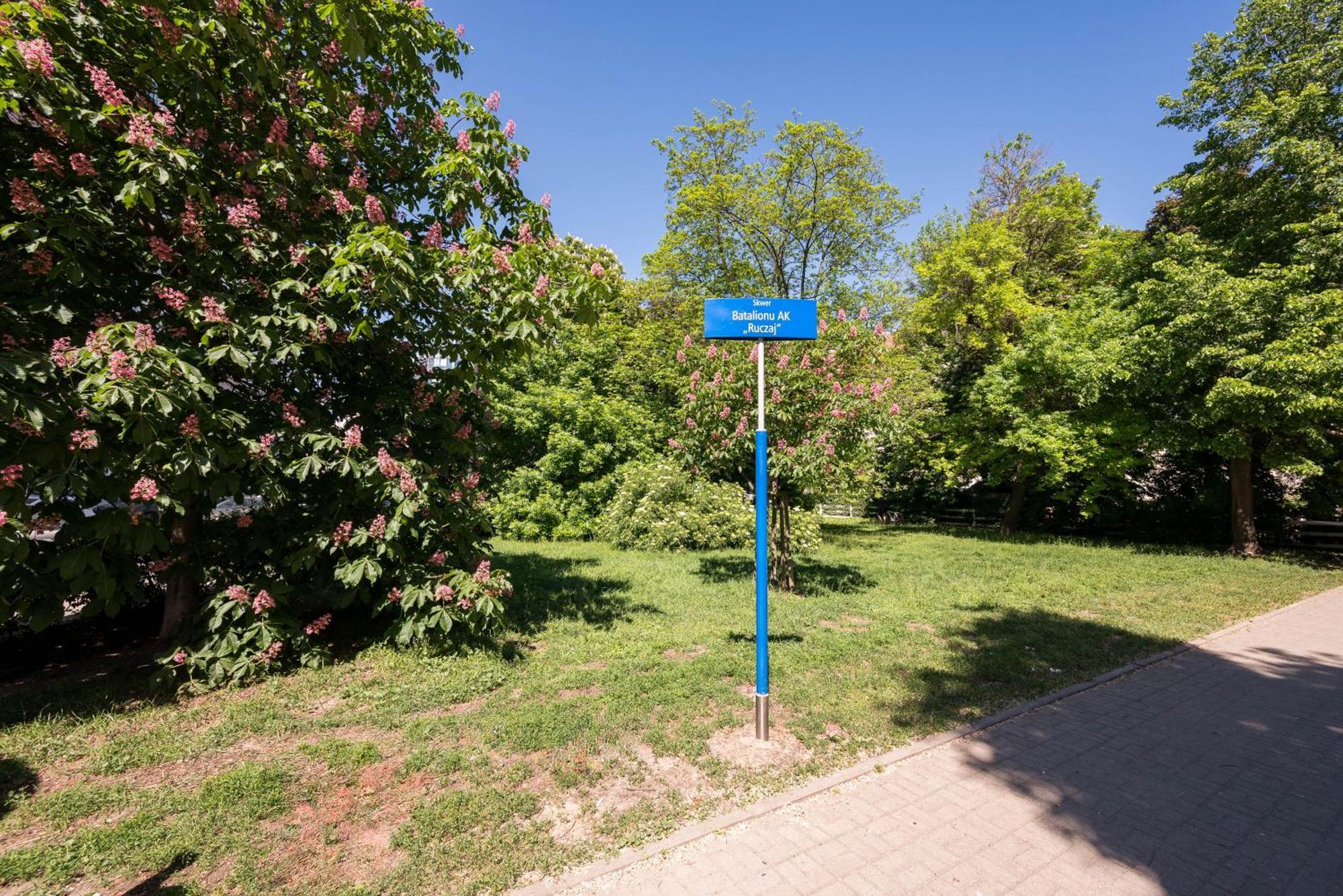 Apartament Plac Konstytucji Homely *
