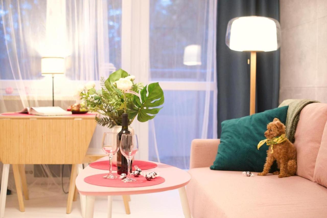Apartament Cinema By P&j