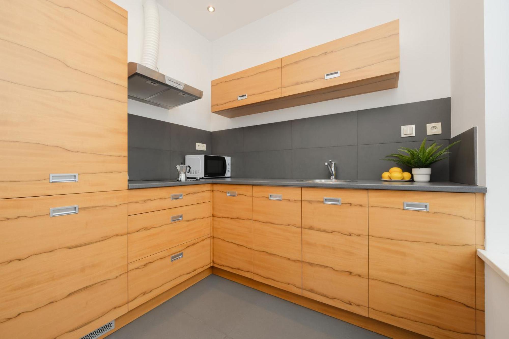 Spacious Studio Muranow & Parking By Renters Apartament