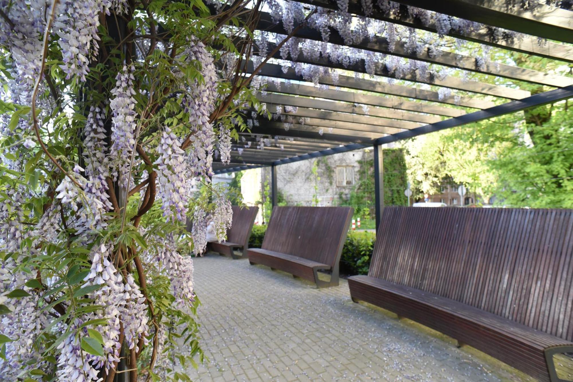 Przytulne Mieszkanie Muranow Apartment *