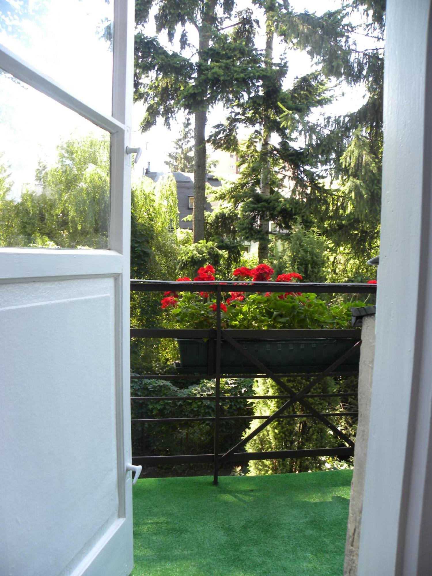 Animrumru Warsaw