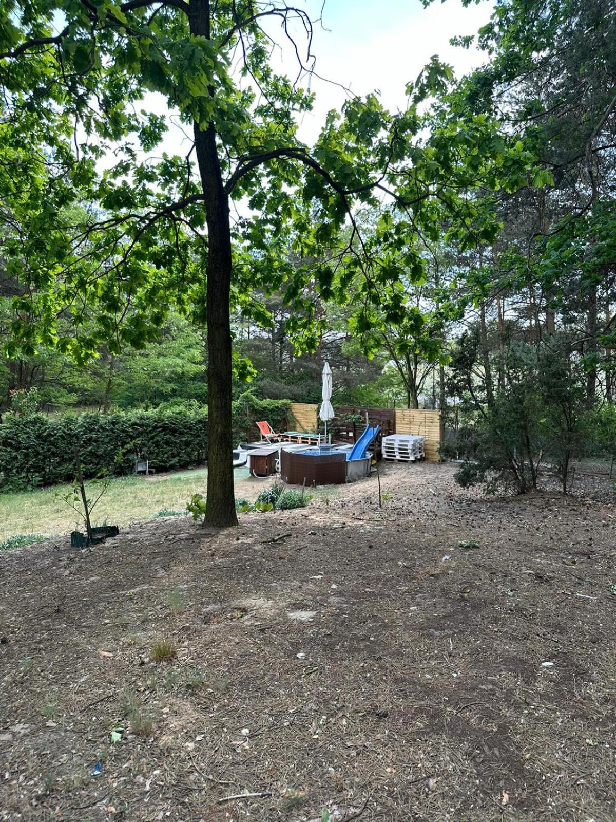 Dream Forest - Wiejska W Lesie Holiday home *
