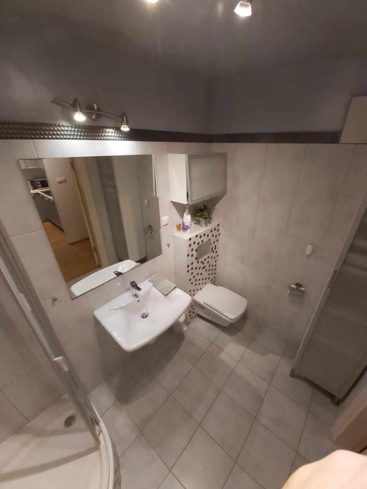 Top Loft With Swimming Pool Warsaw