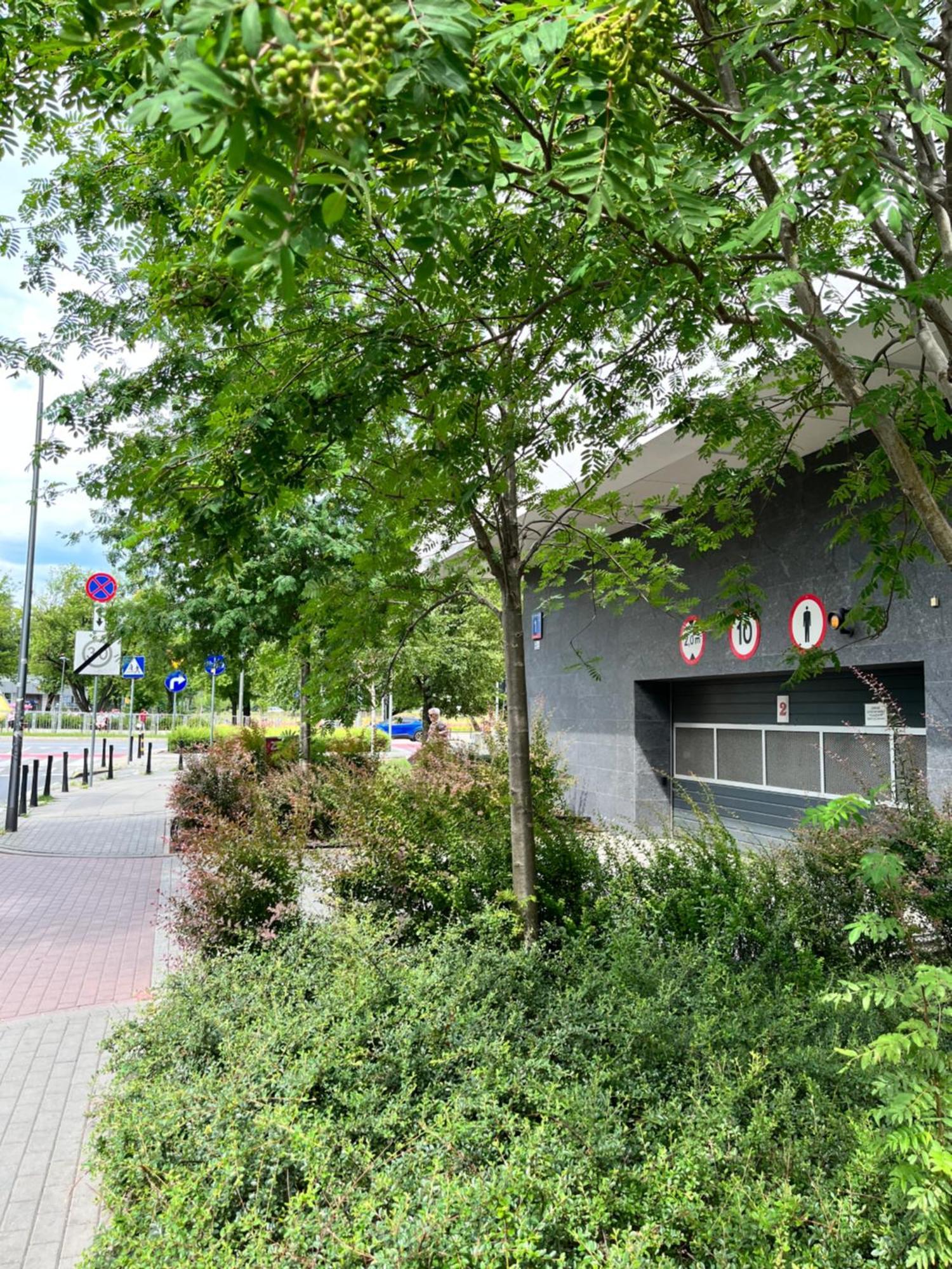Apartment Metro Slodowiec Free Parking *
