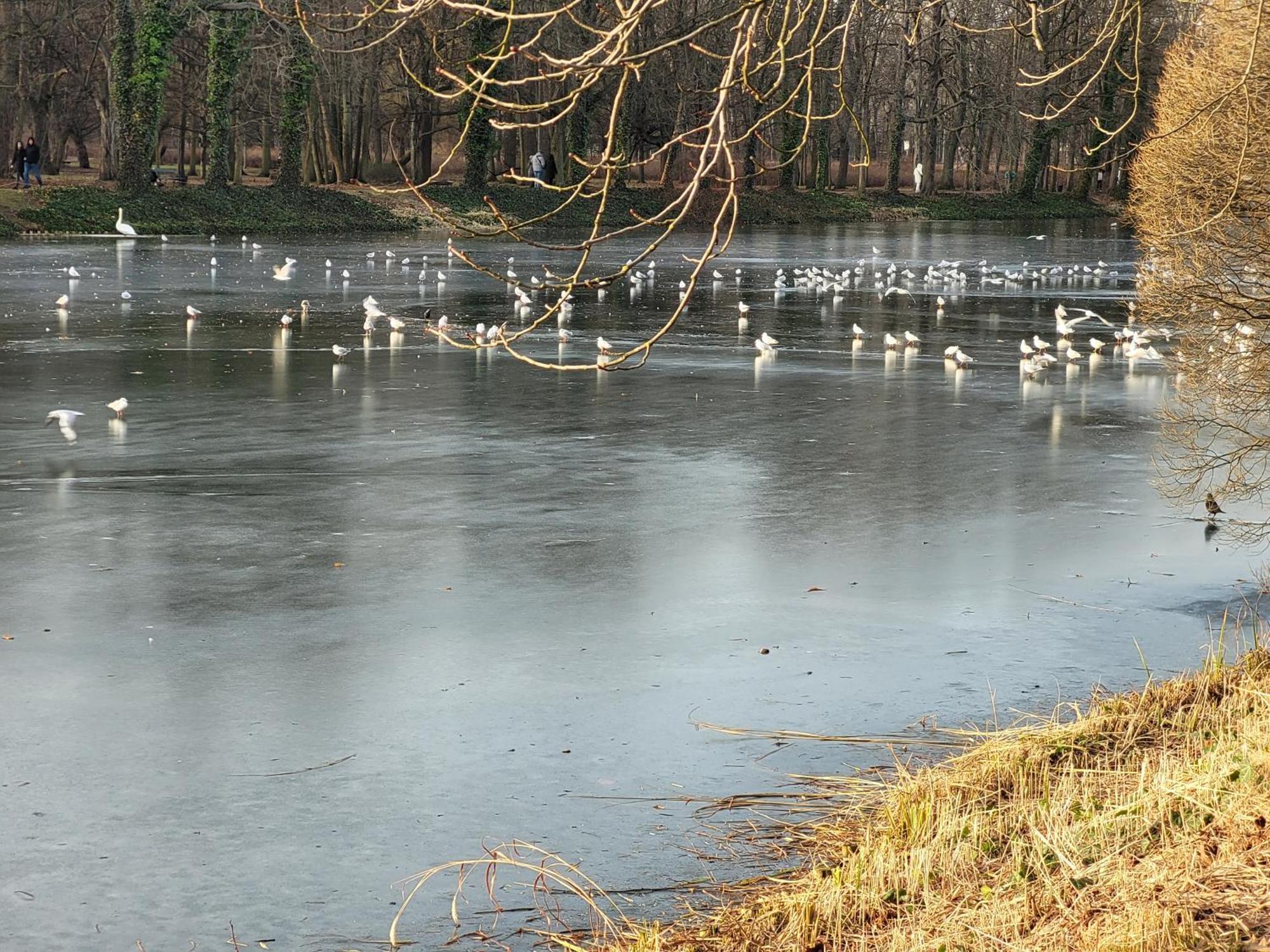 Near Rondo Onz * Varsóvia
