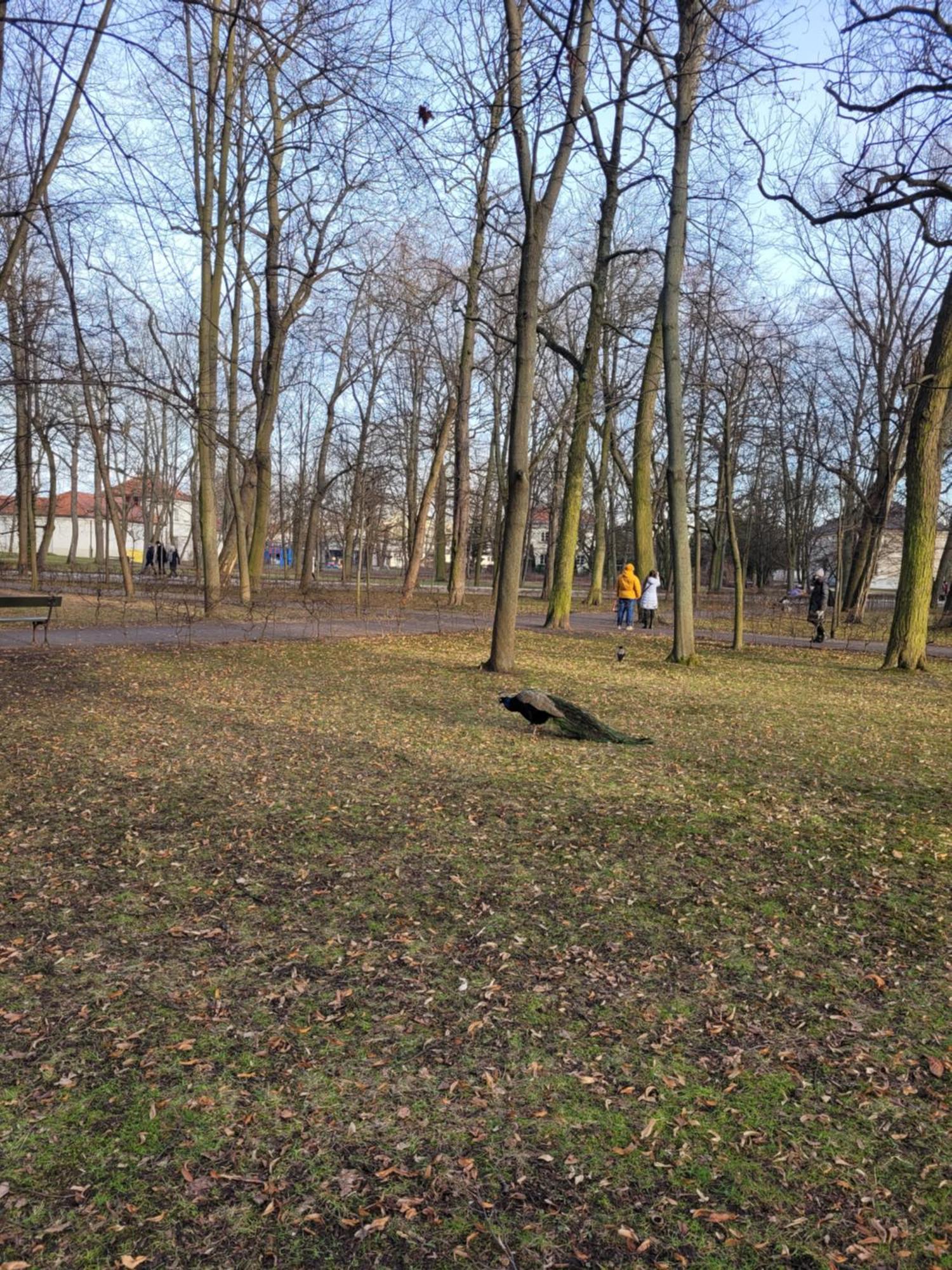 Near Rondo Onz * Varsóvia