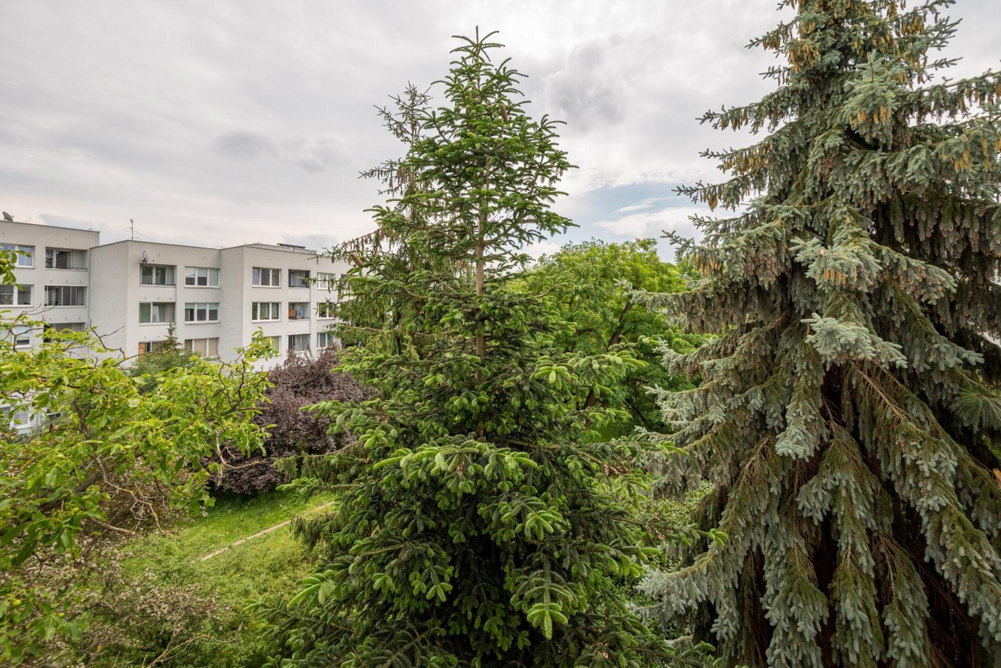 Embassy Avenue At Royal Park Apartament Warszawa