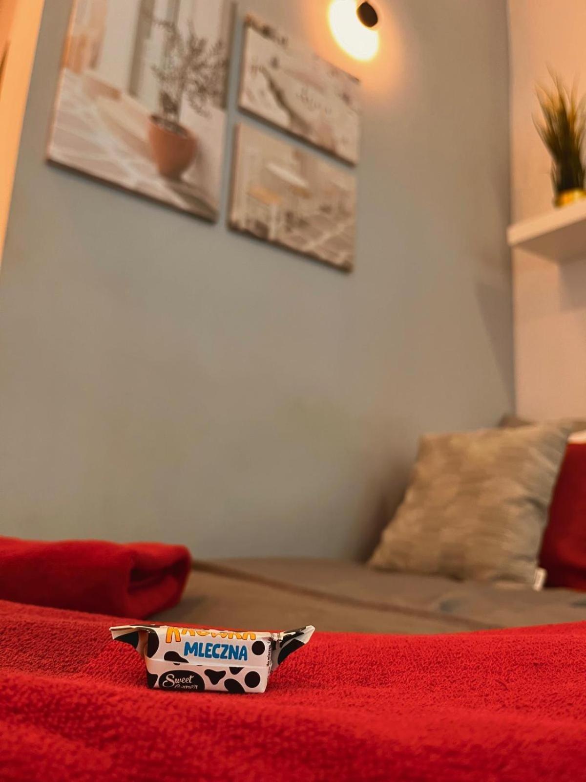 Special 1 Bed Center Apartament *
