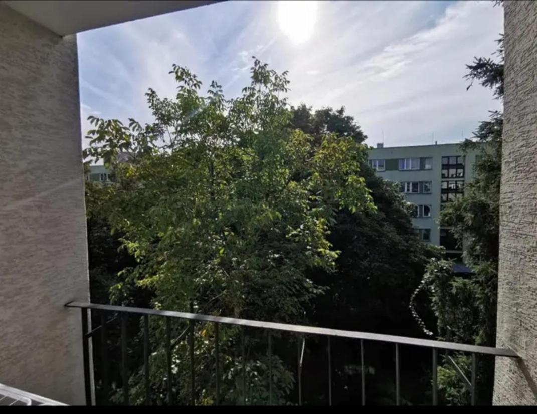 Apartament Sadyba