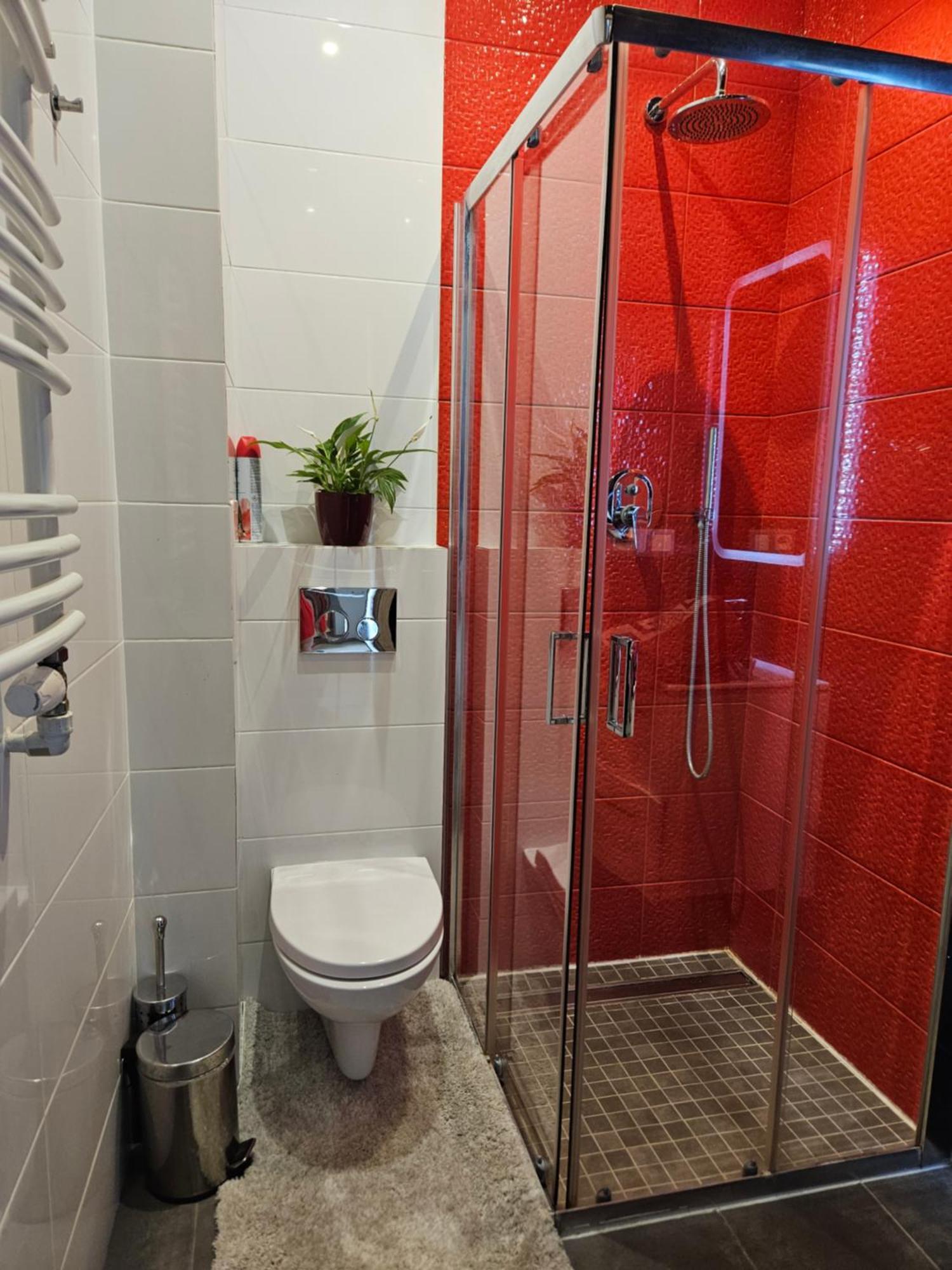 Close To Royal Lazienki Park, недалеко от олинек Apartamento *