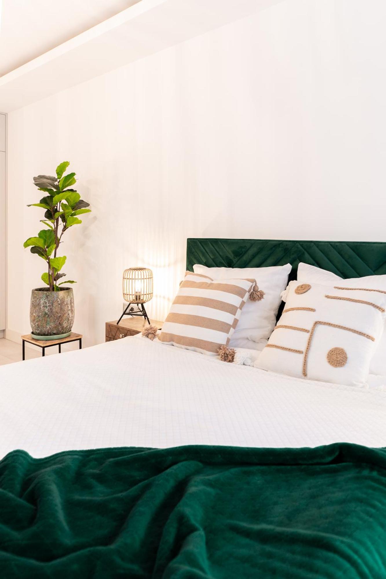 Apartment Plater Premium *