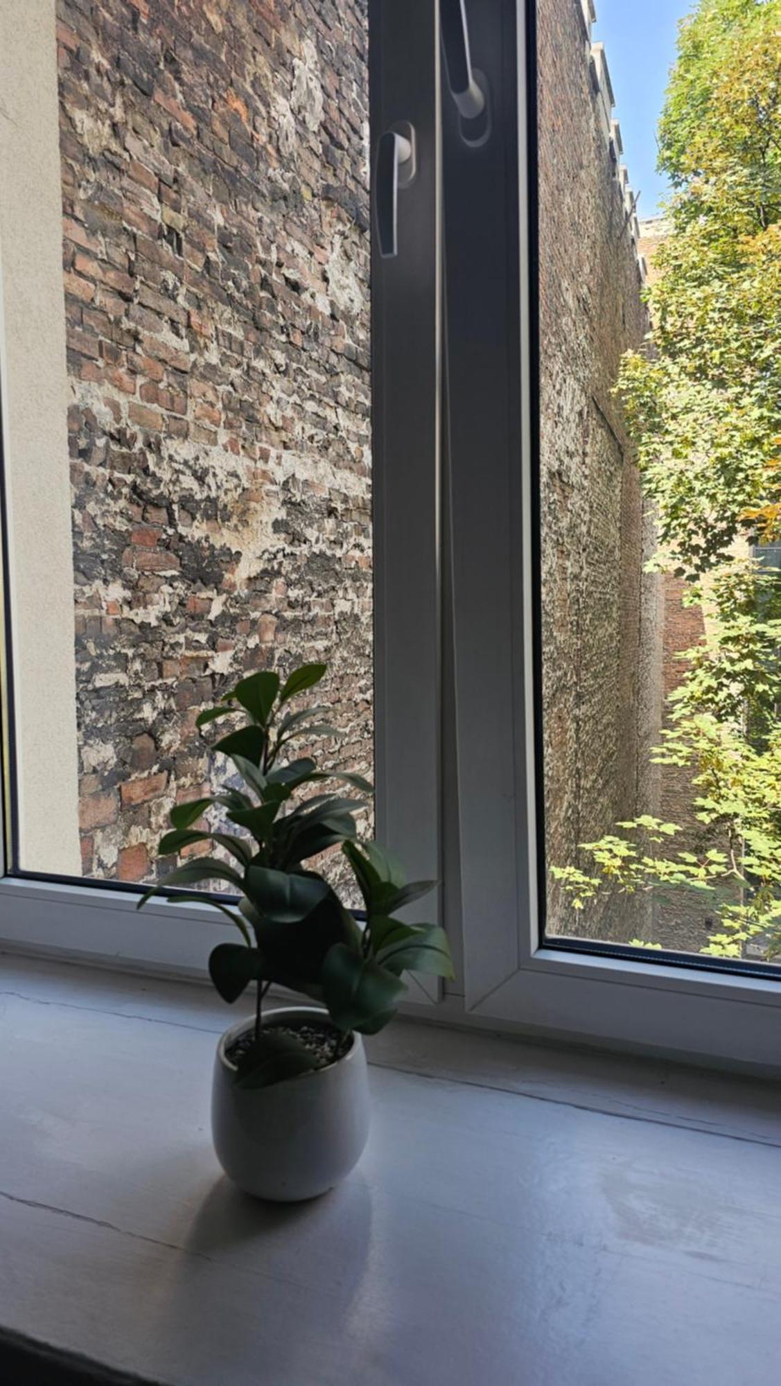 Apartment Widok