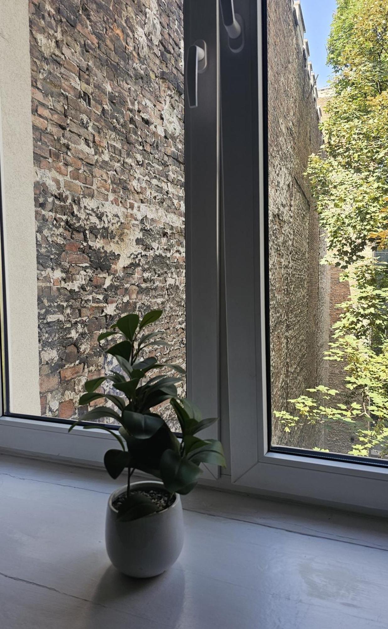 Apartment Widok *