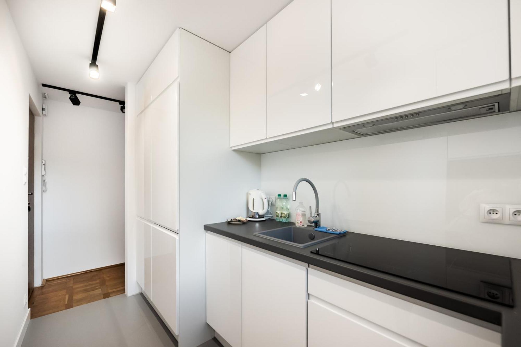Anielewicza Pin-up Studio Muranow Polin * Warsaw