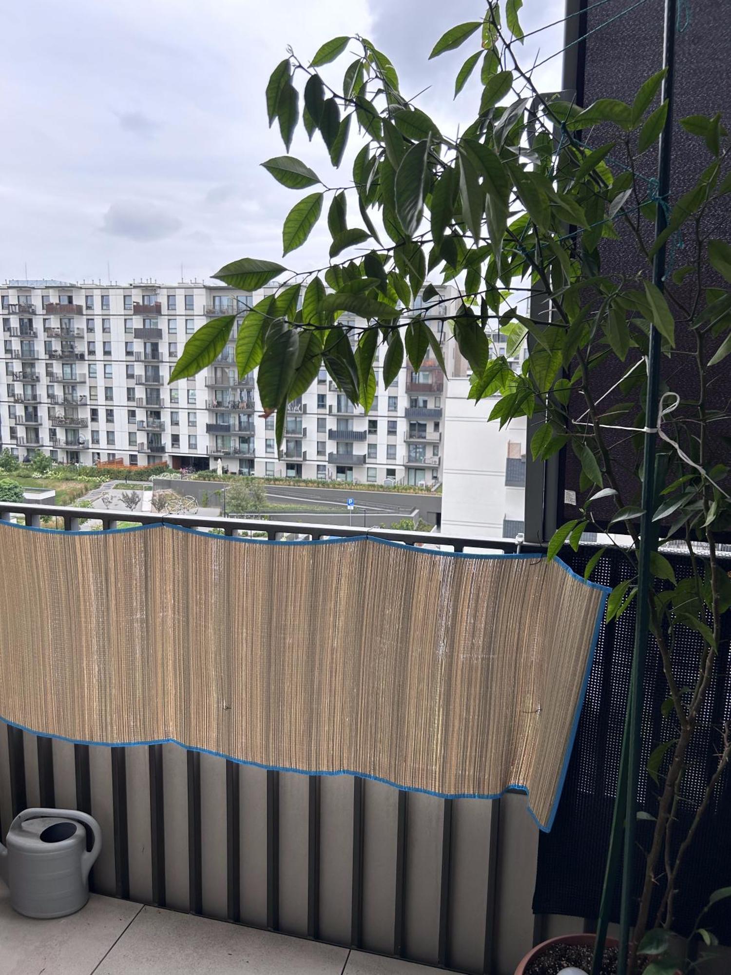 Căn hộ Jasny Apartament
