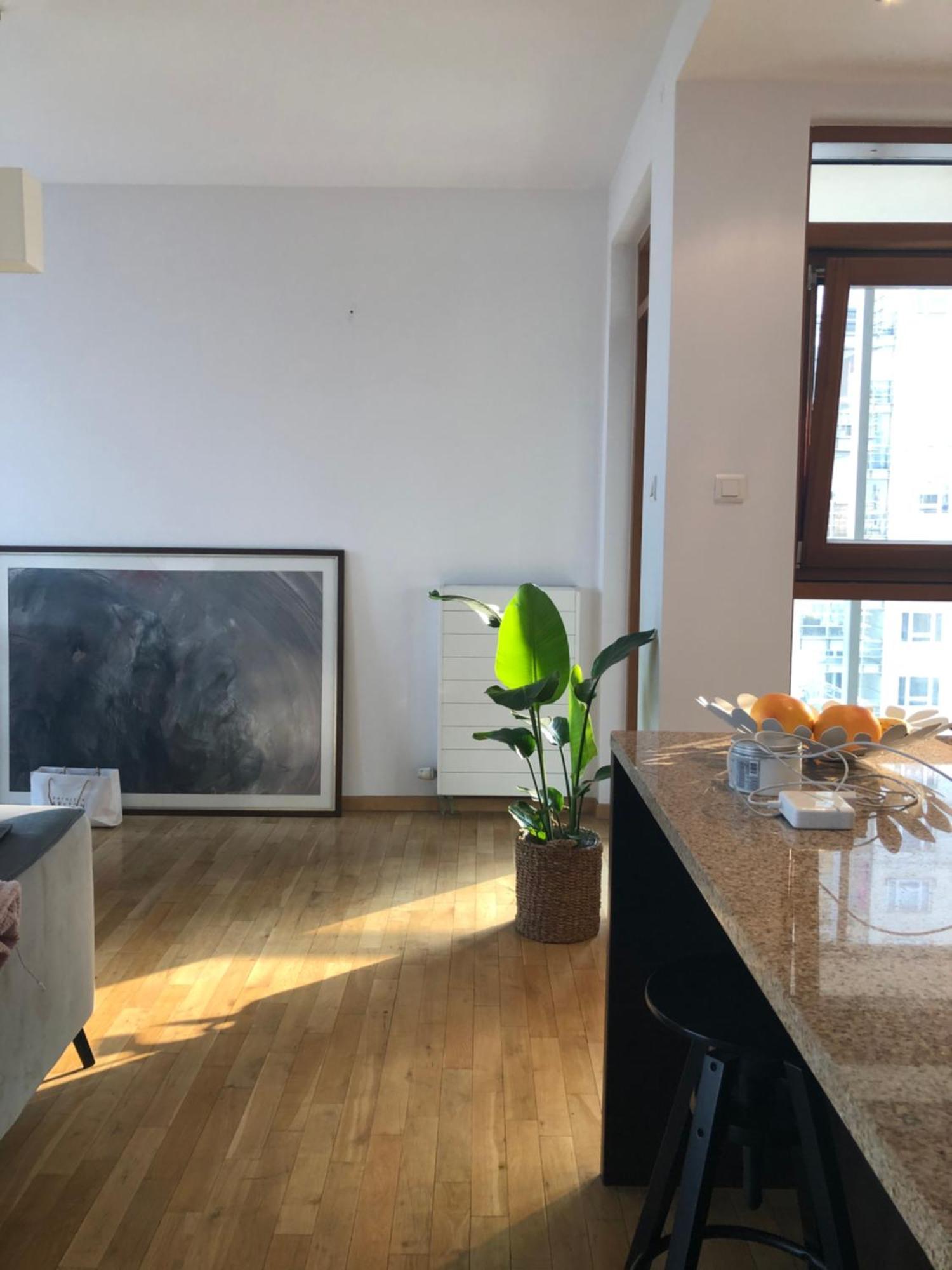 Mieszkanie Z Duzym Tarasem W Centrum Warszawy Apartment *