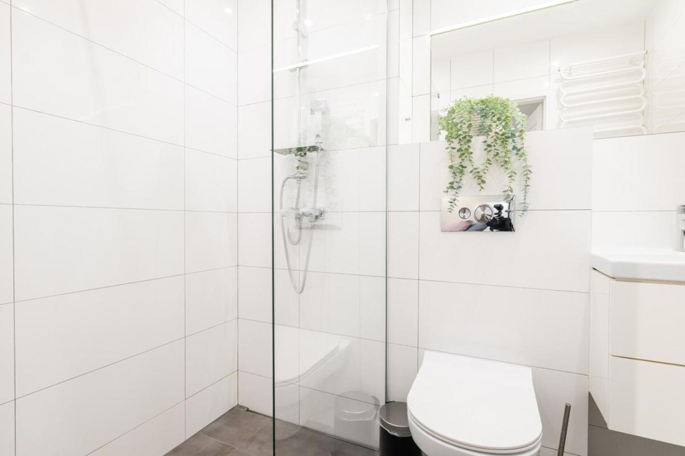 Kraushara I Chestnut Apartment