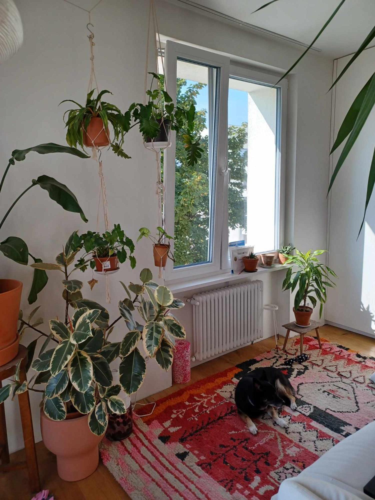 Hospedagem domiciliar Wygodne Mieszkanie Na Mokotowie Blisko Metra - Comfortable Close To The Subway