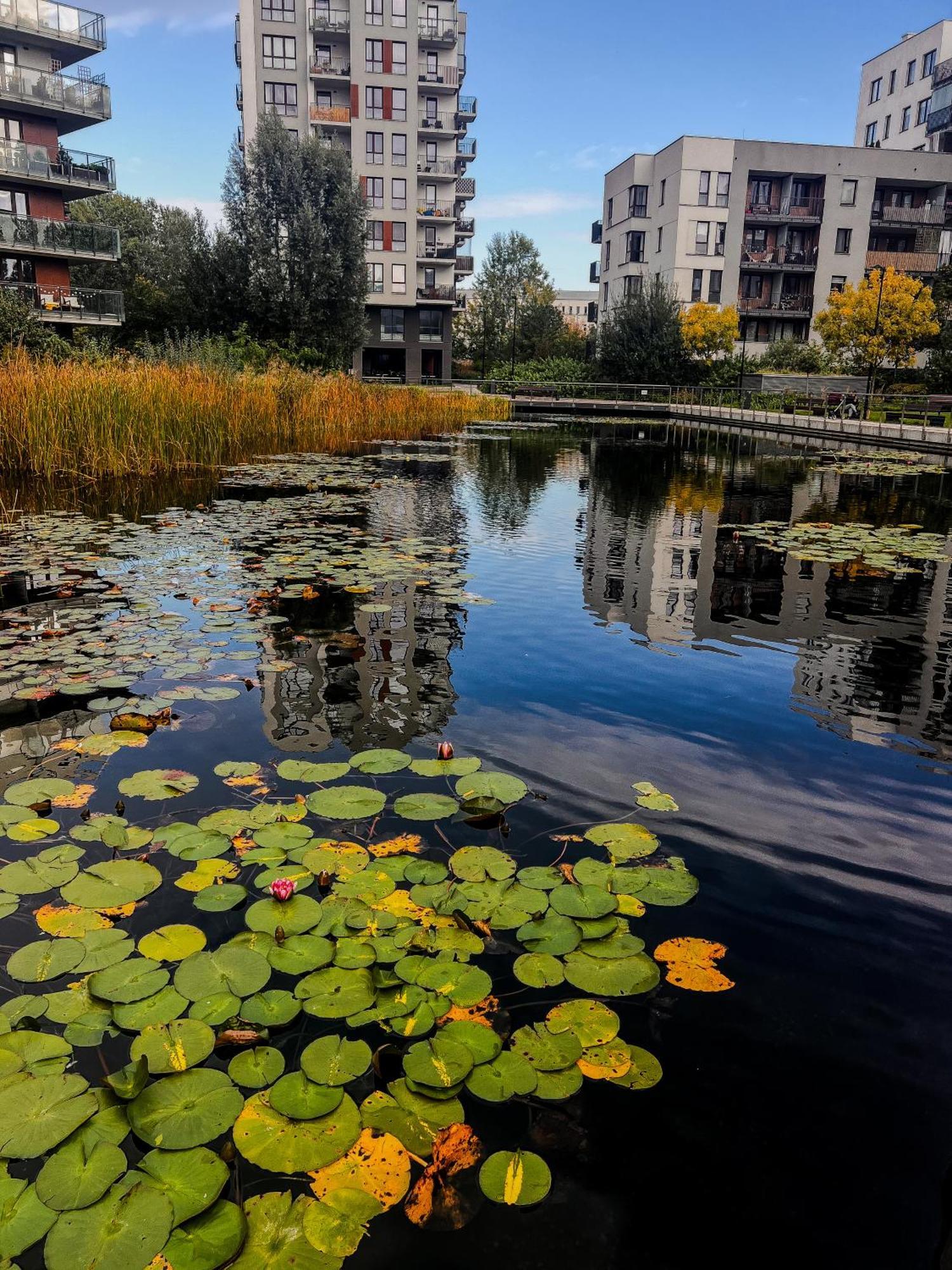 Apartment Lake Park Apartament With Free Parking Airport Netflix