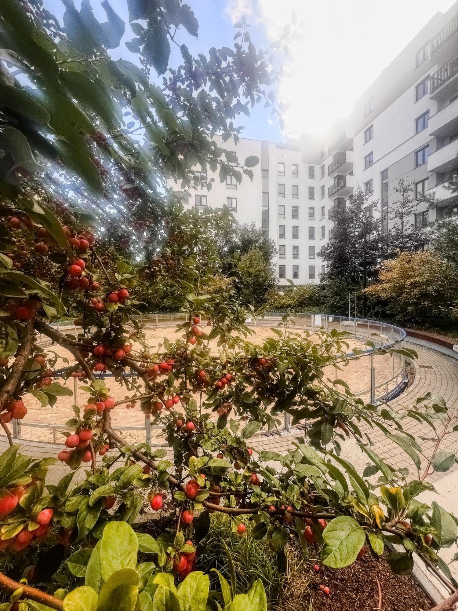 Lake Park Apartament With Free Parking Airport Netflix *