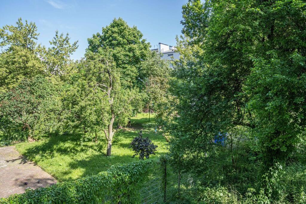 Rozana, Stary Mokotow Warsaw