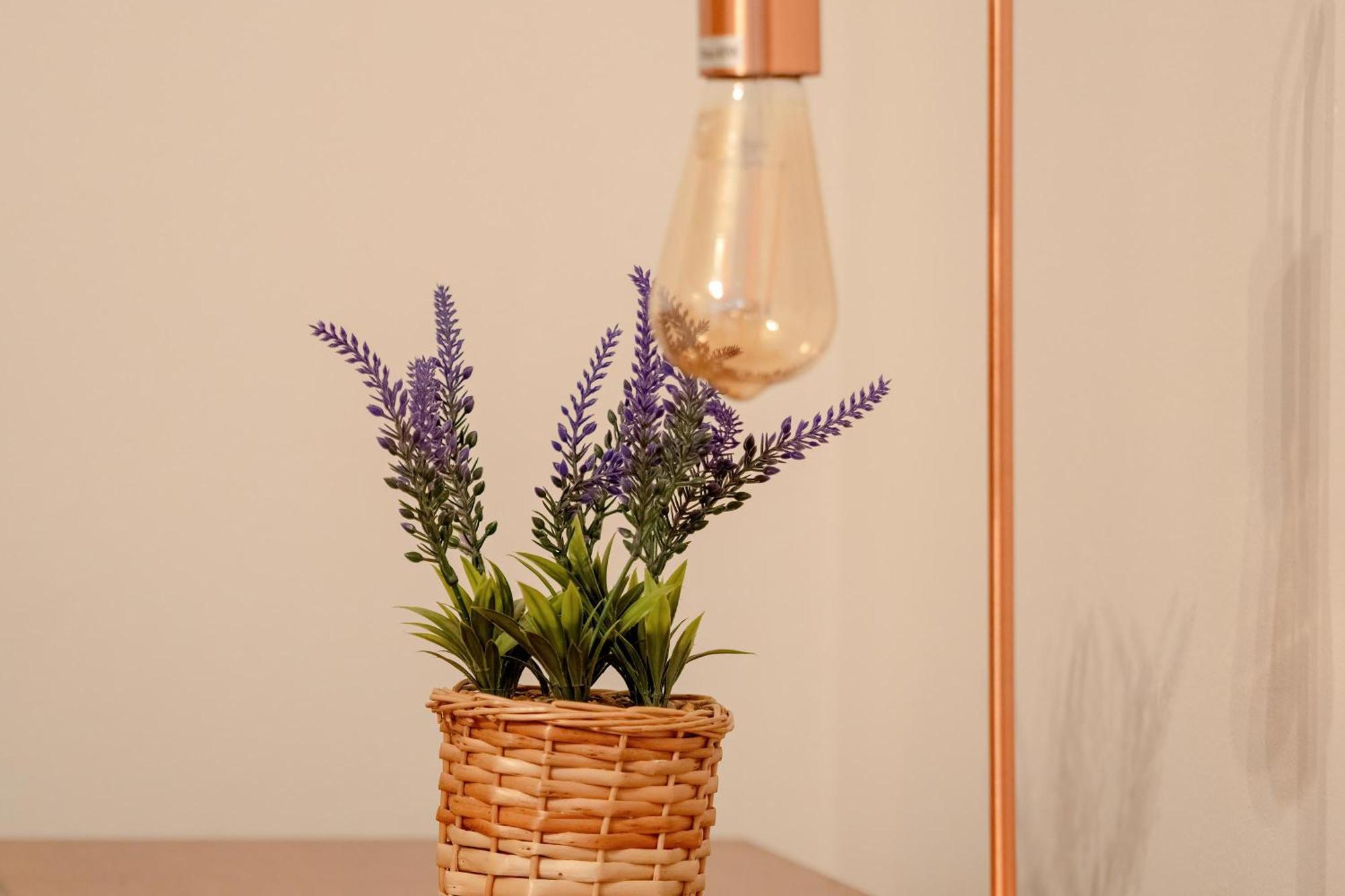 Merliniego Trendy With Desk By Renters * Warsaw