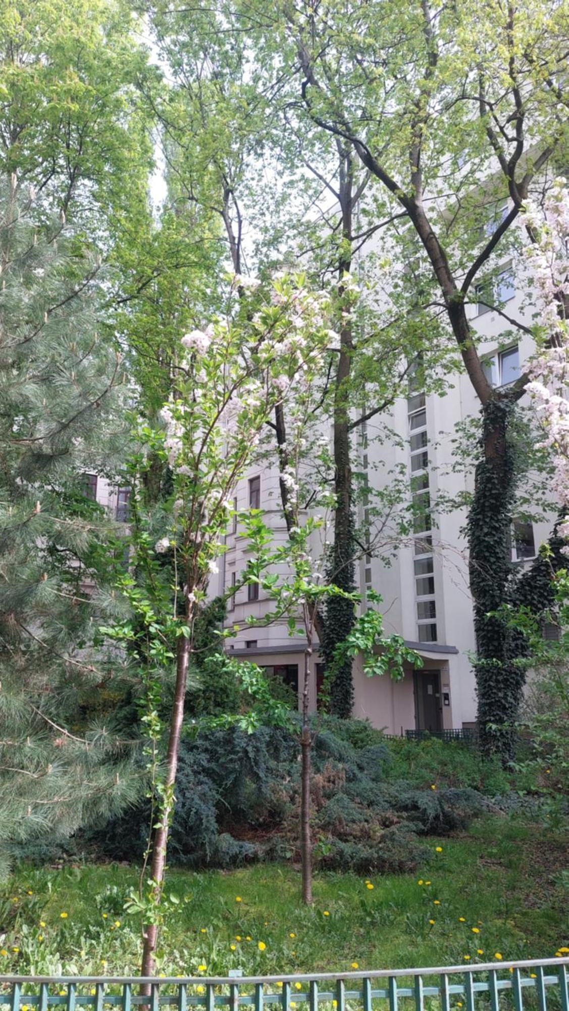 Downtown Elegant & Sunny Near Metro Station * Warsaw