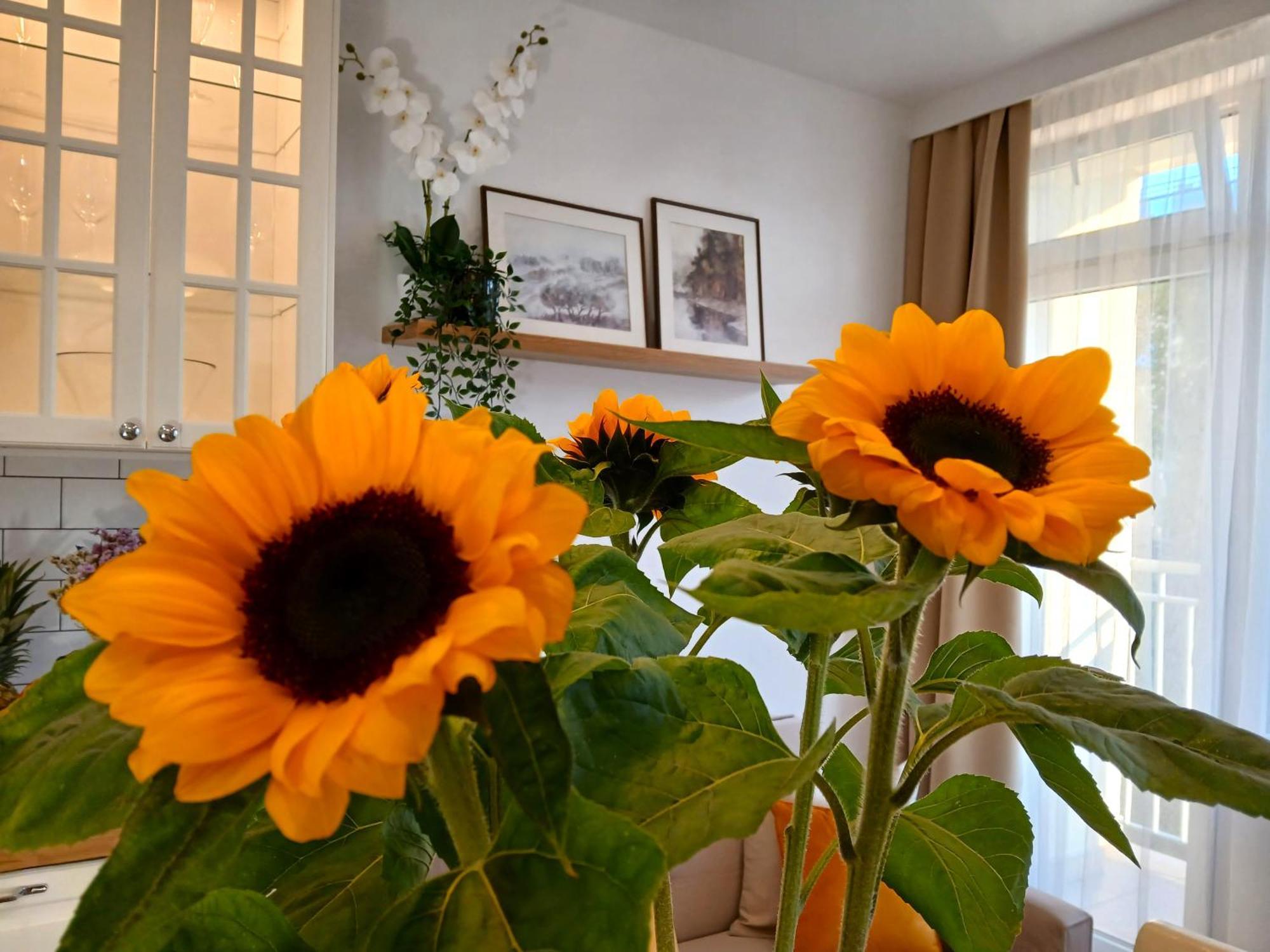 Apartment Downtown Elegant & Sunny Near Metro Station *