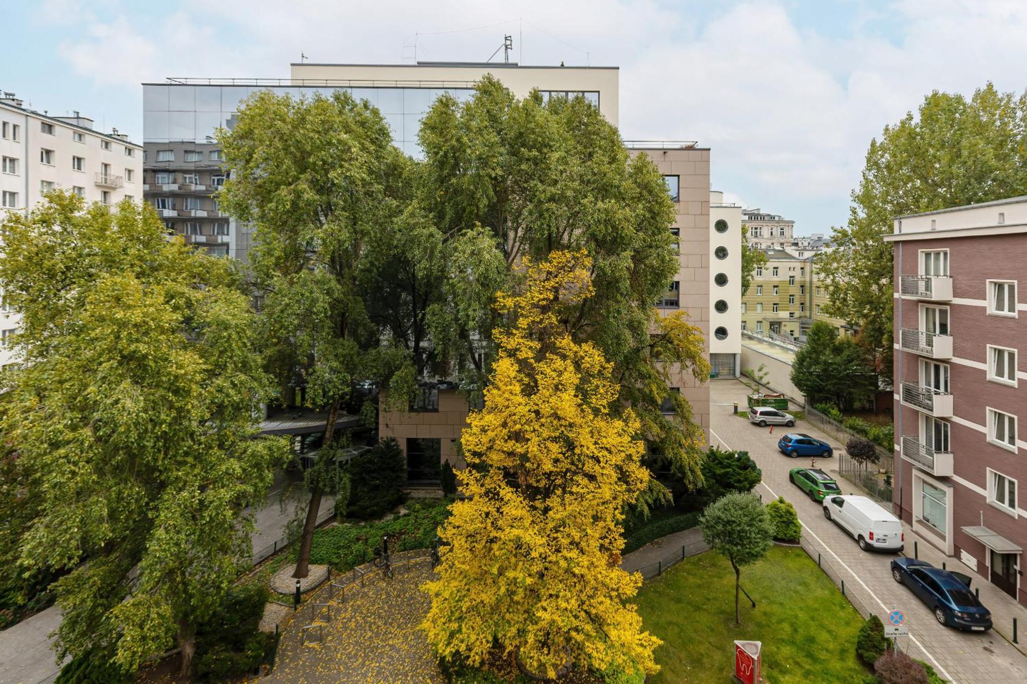 Downtown Elegant & Sunny Near Metro Station Apartment *