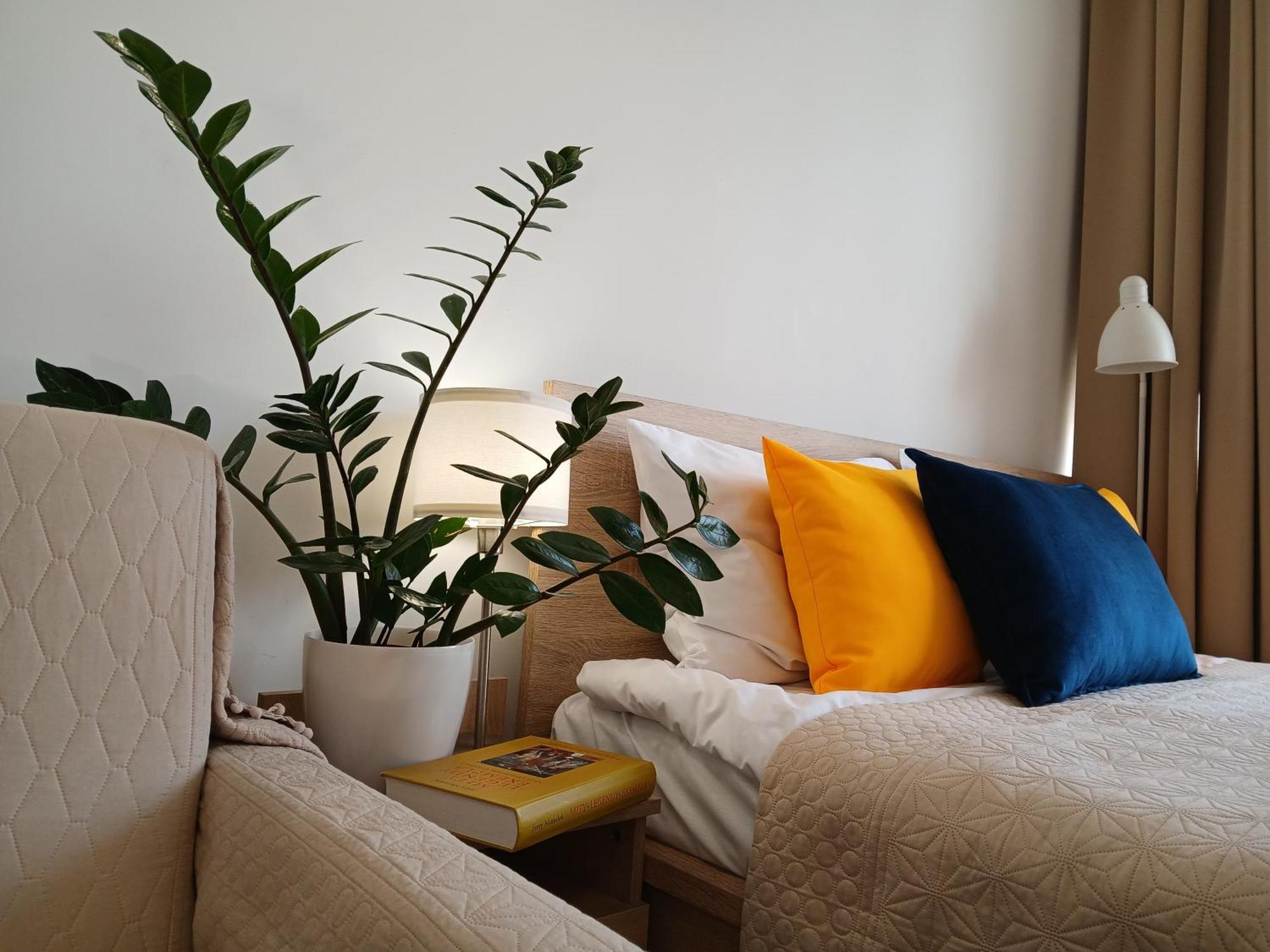 Downtown Elegant & Sunny Near Metro Station Apartment *