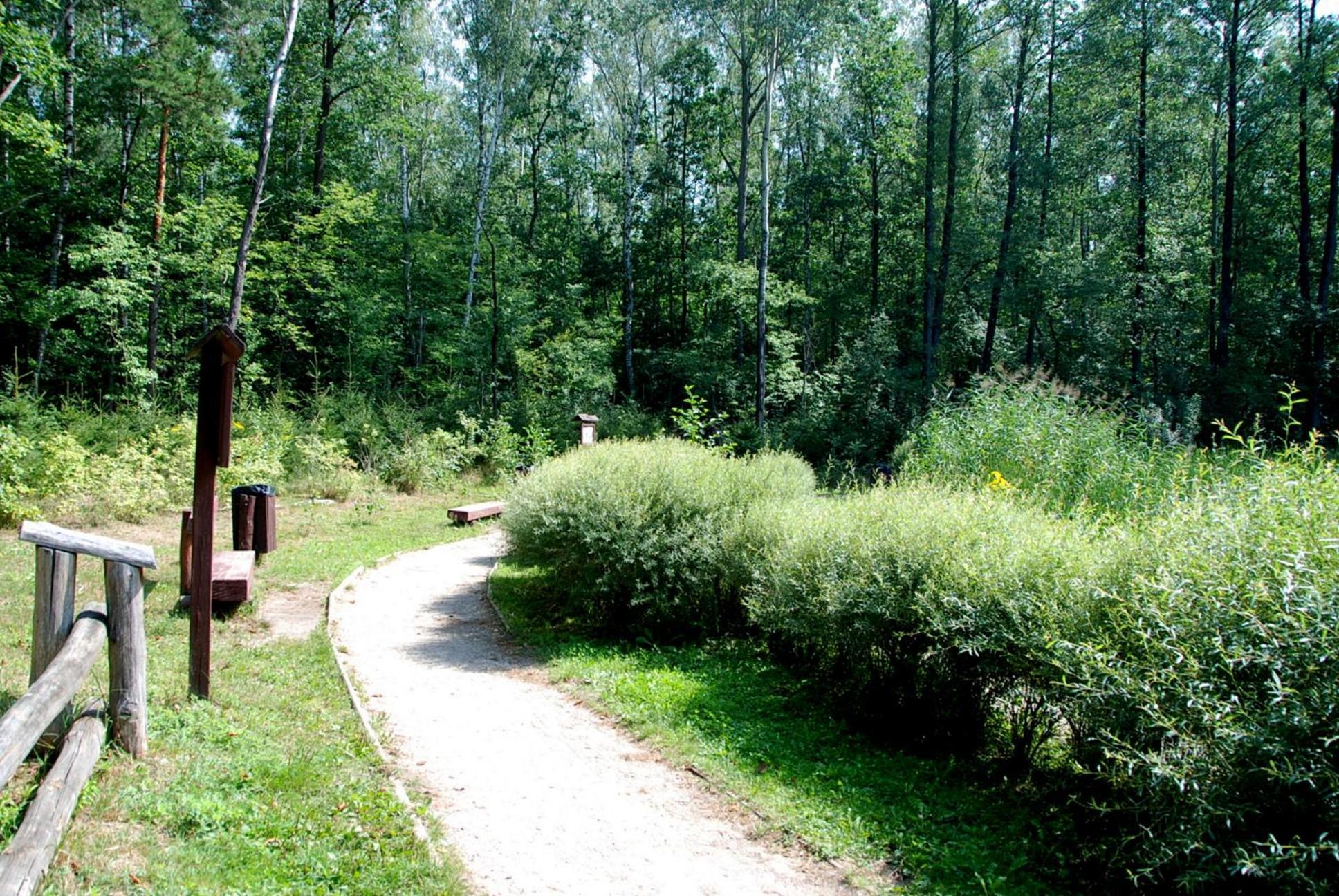 Quiet Separate In On Outskirts Near Forest *