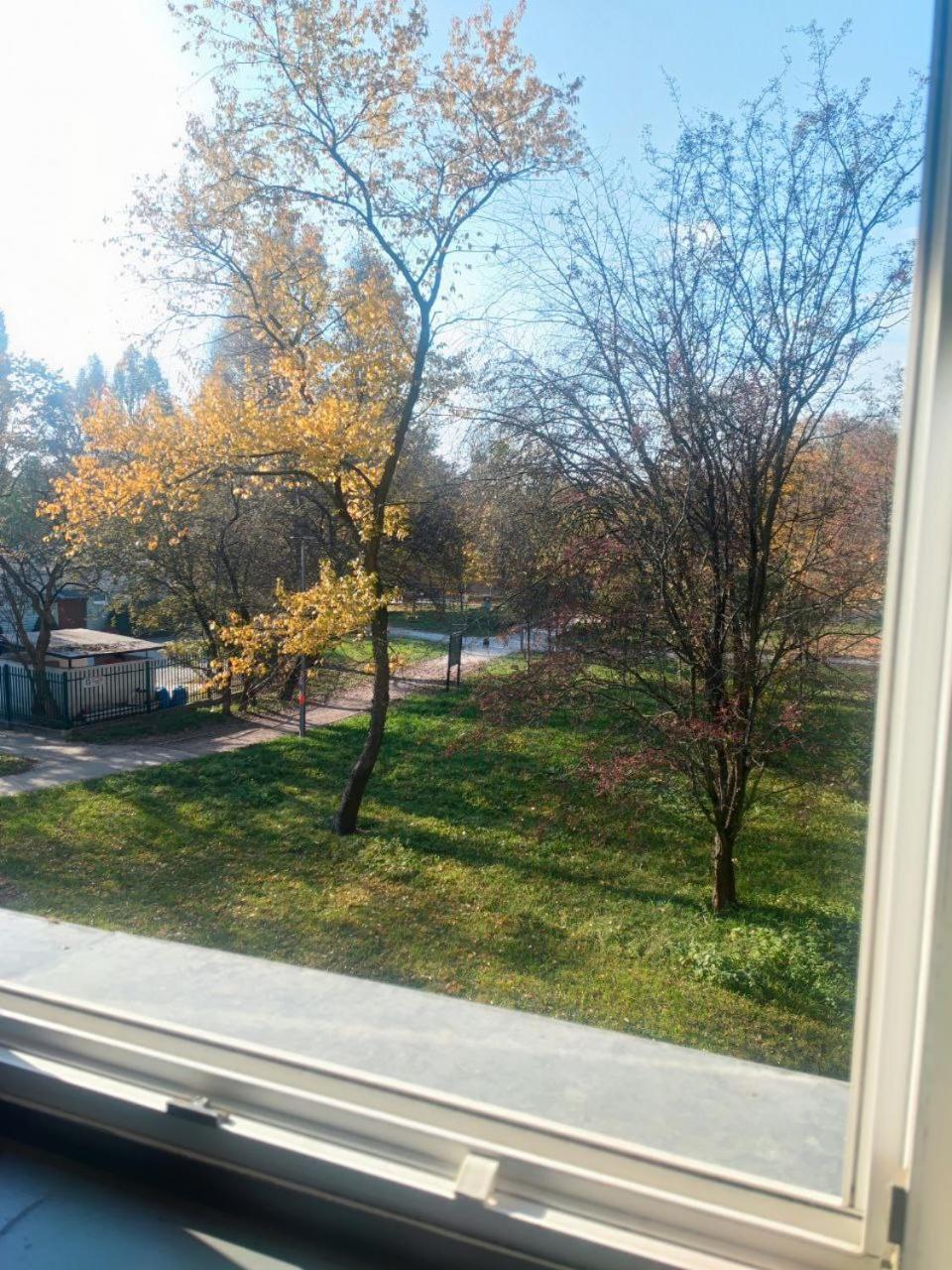 Apartment Wielunska Warsaw