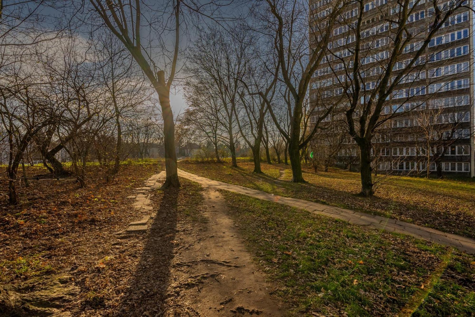 Kozmiana - Workspace, Bus&park Nearby - By Rentujemy Warszawa