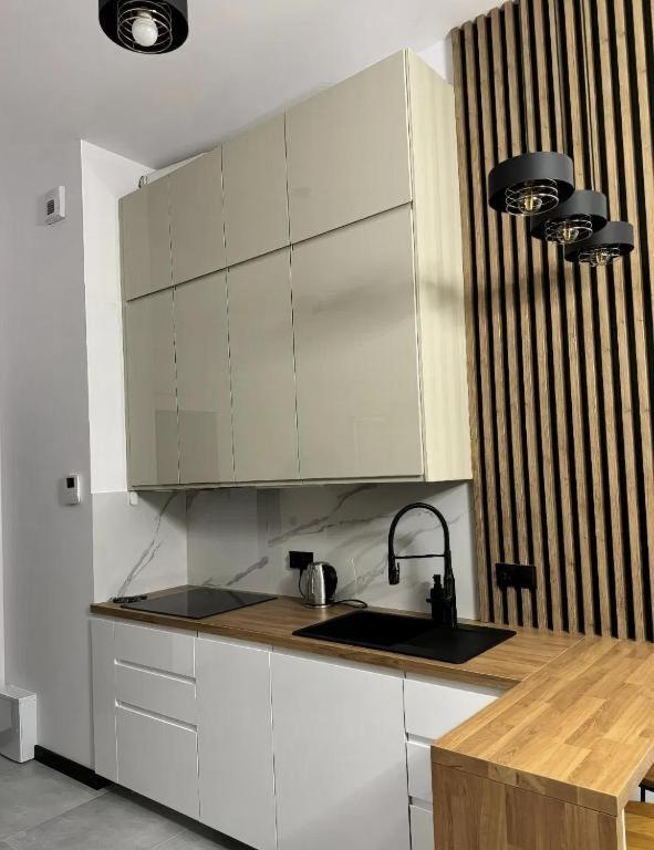 Rentpoland Wiktoryn Studio Apartment *