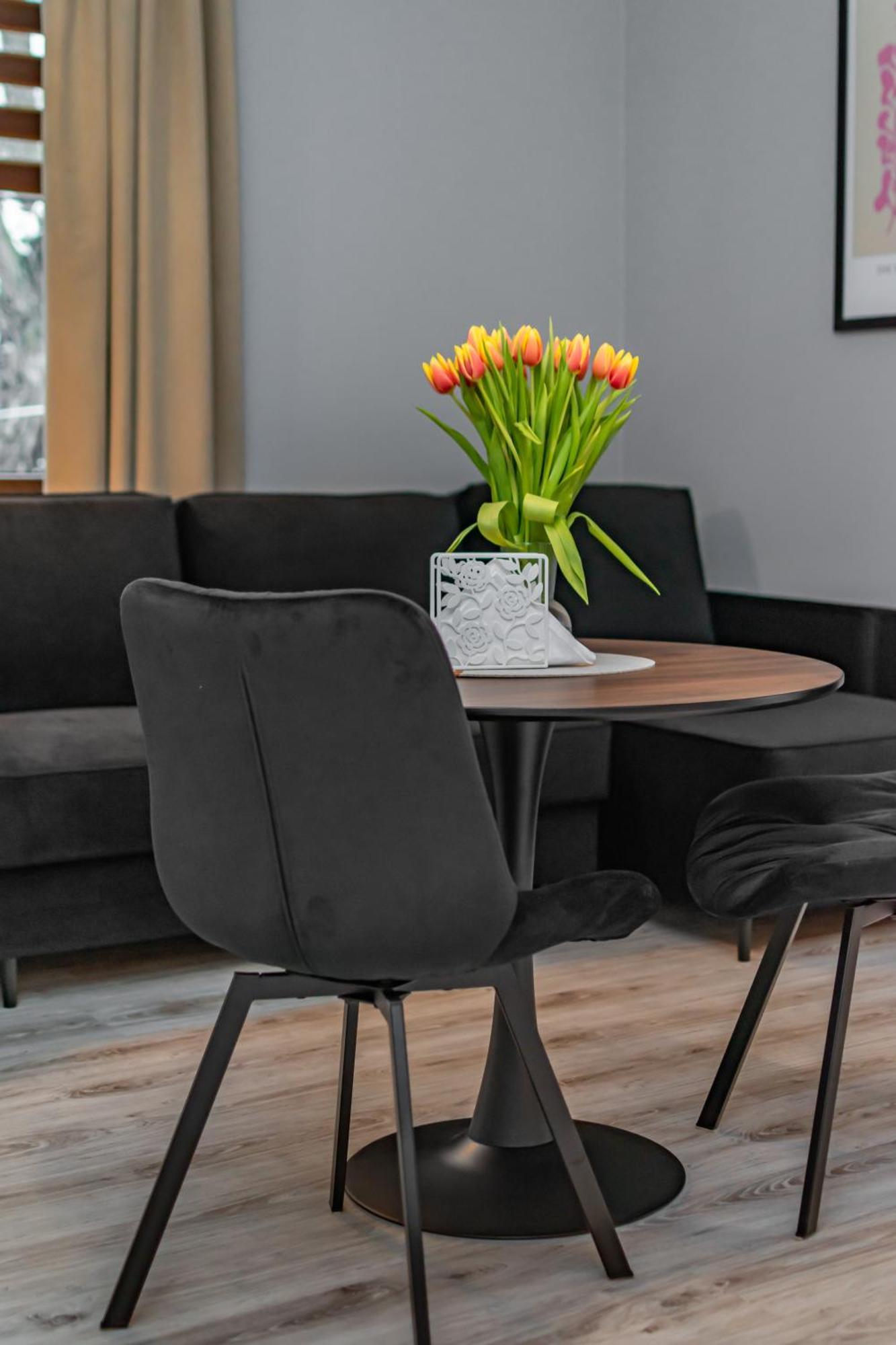 Apartment Coco Premium Radosc