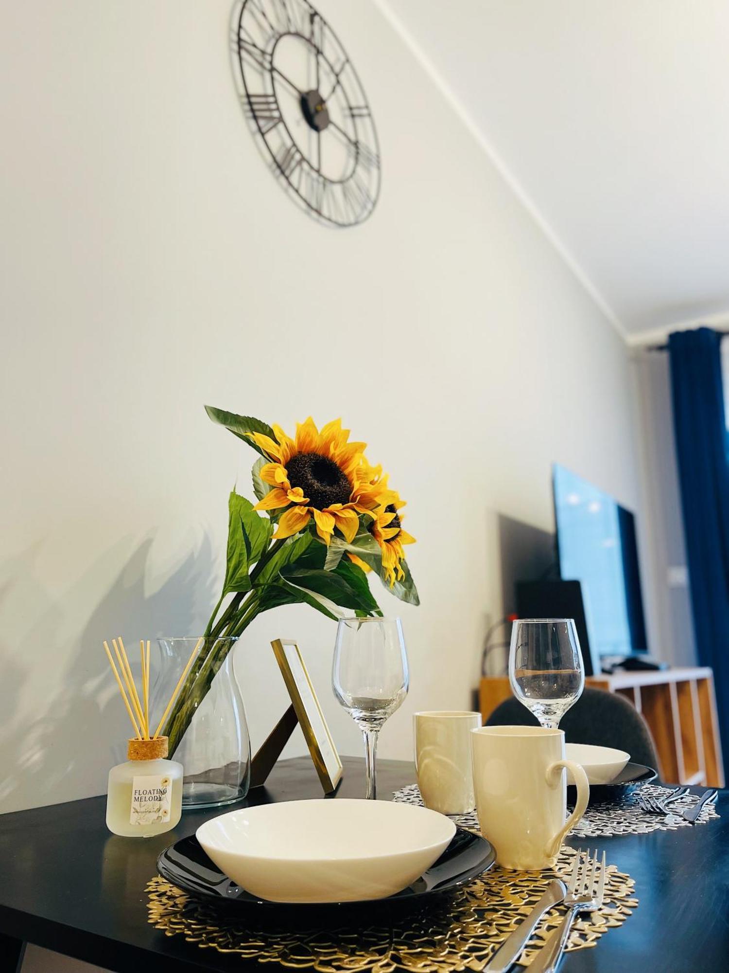 Rimex Invest Group Apartment *
