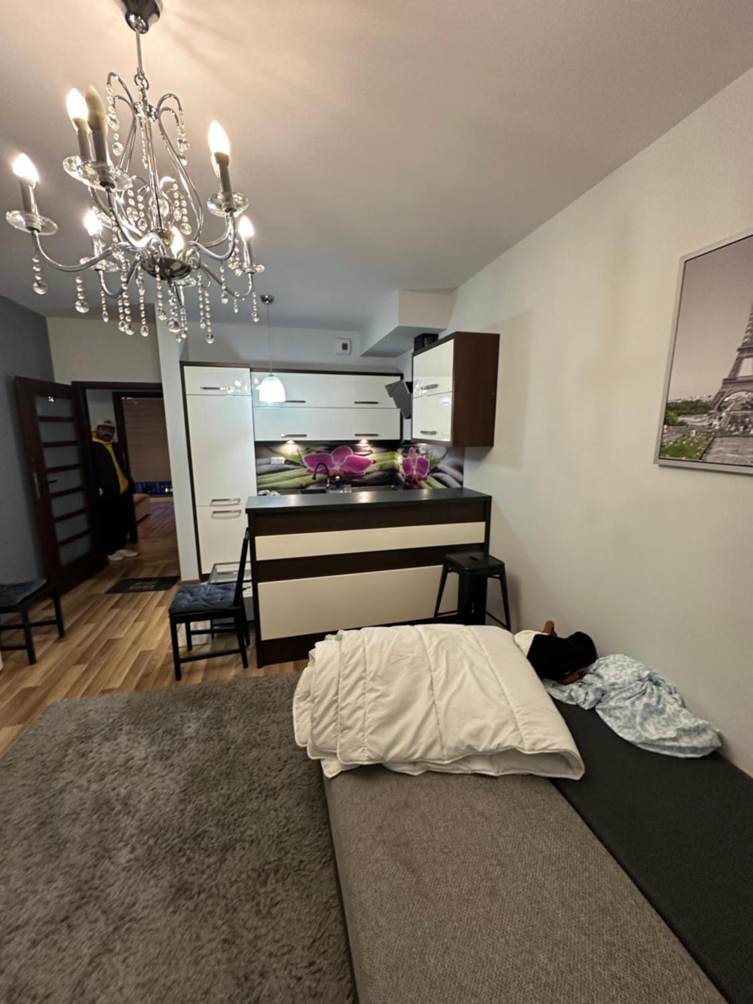 Modern Nest * Warsaw