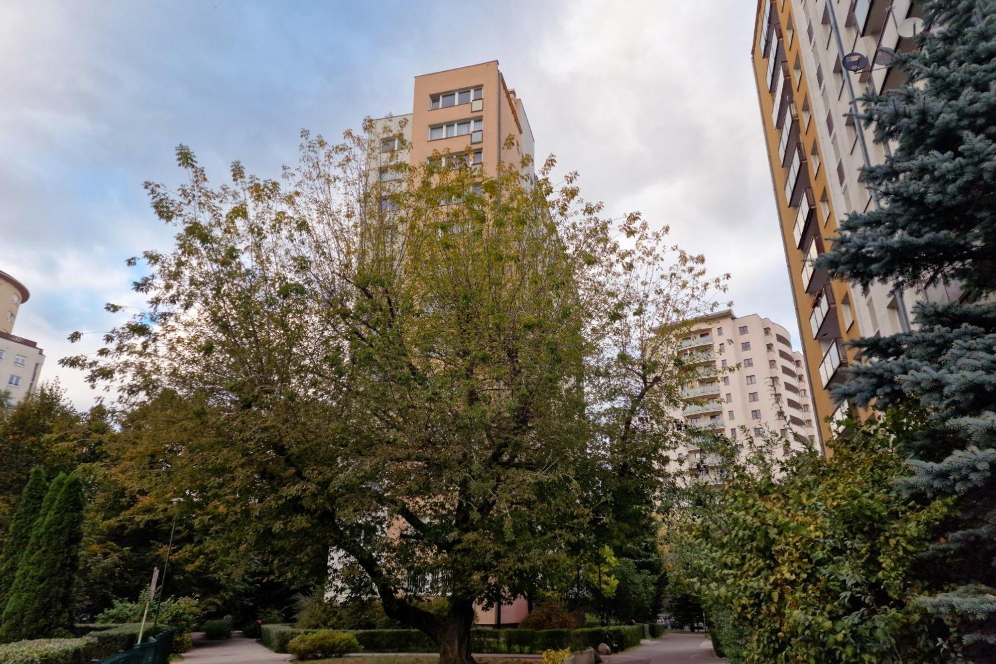Spacious Perfect For Families By Renters