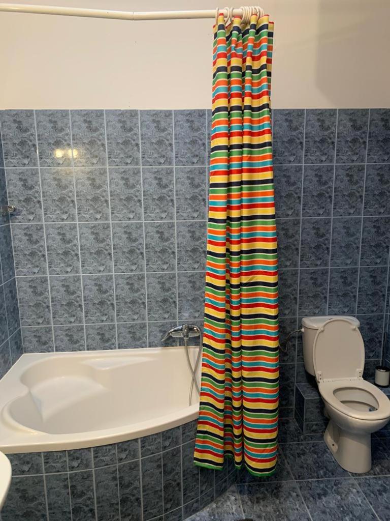 Spacious 2-rooms Penthouse In Center Apartament