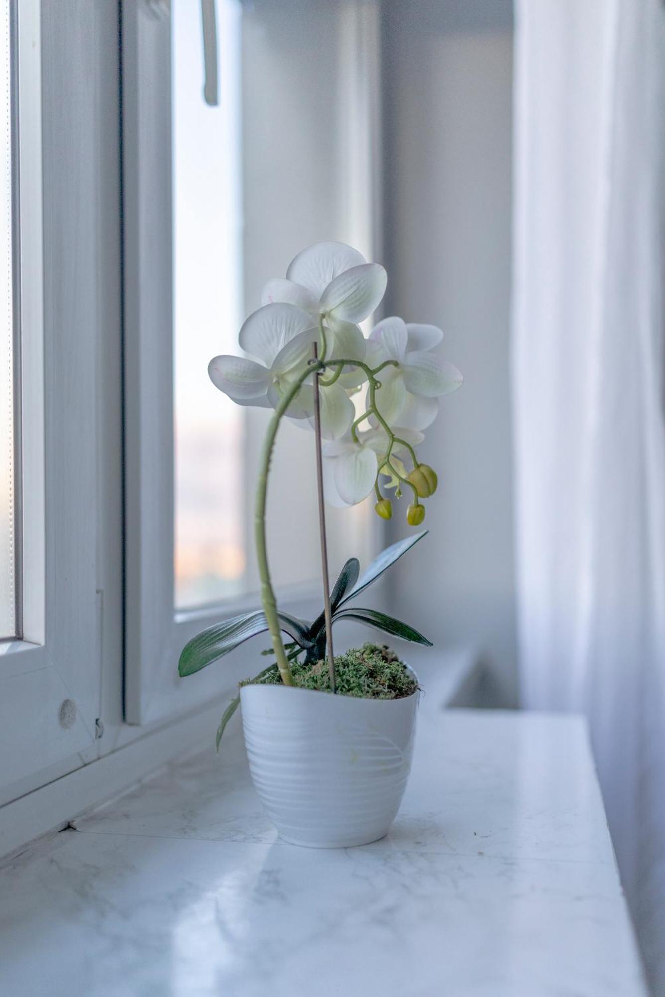 Silversky Altitude - Centrum Apartment *
