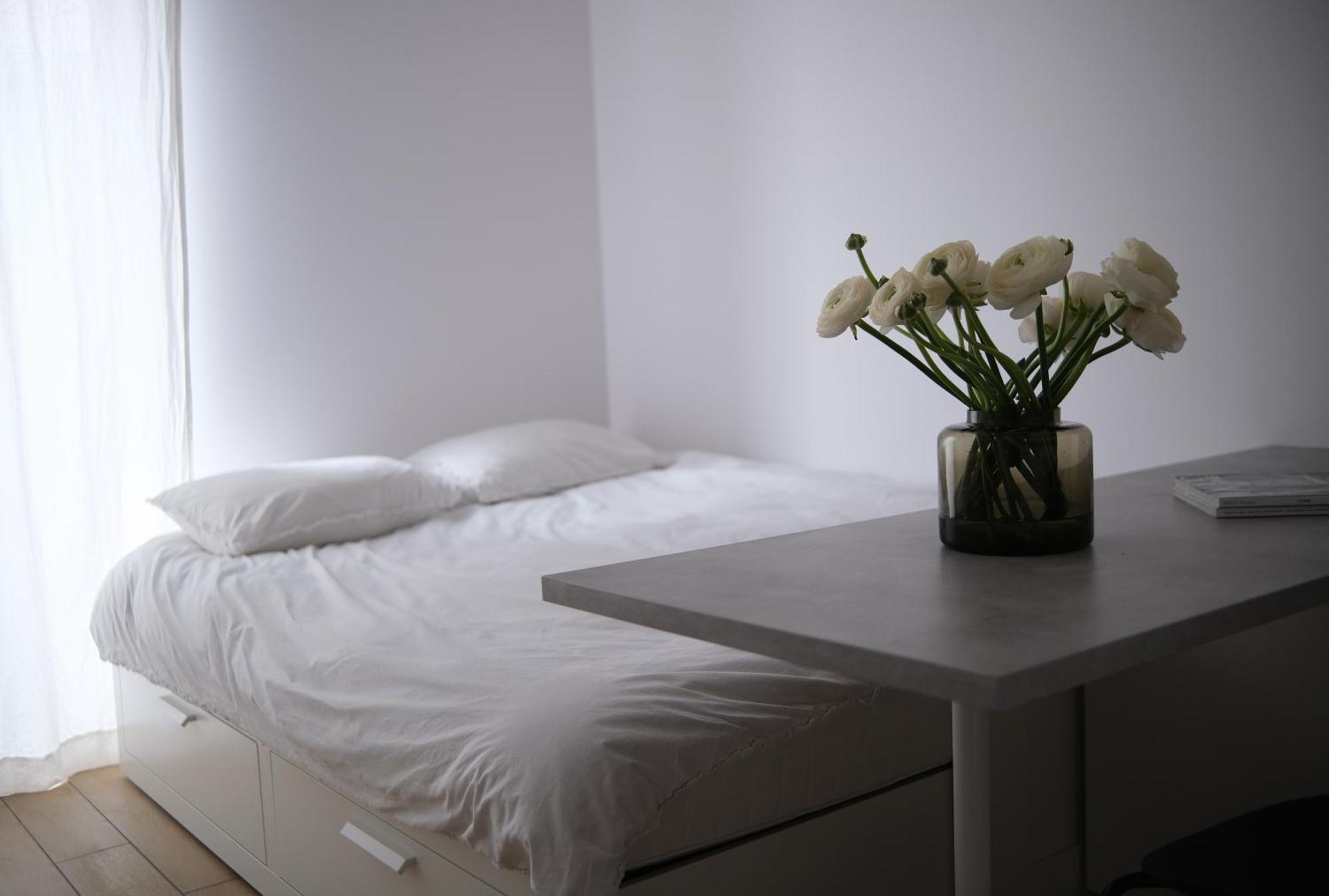 Apartment Torunska White *