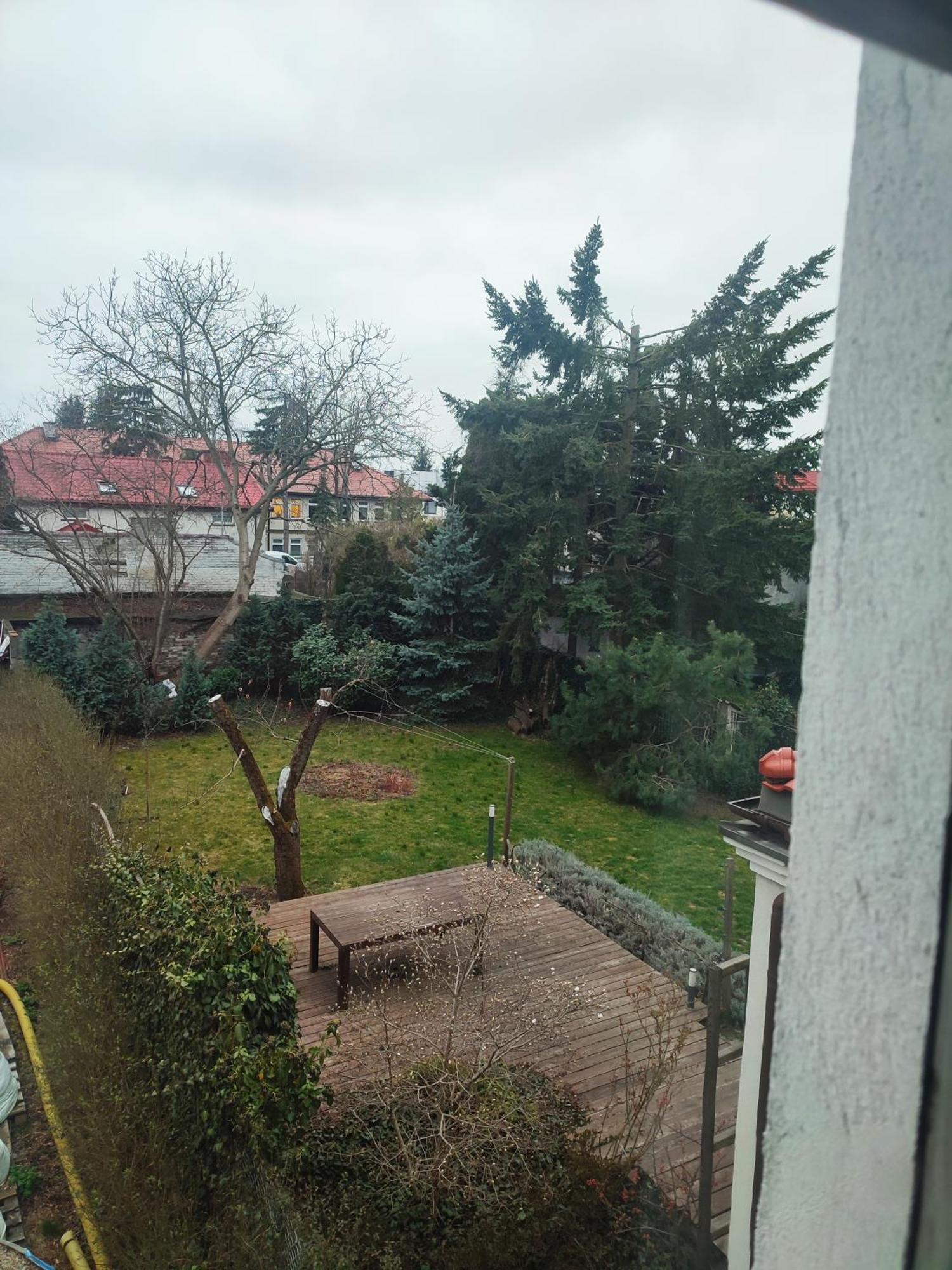 Homestay White House Okecie Cyprysowa 11 Warsaw