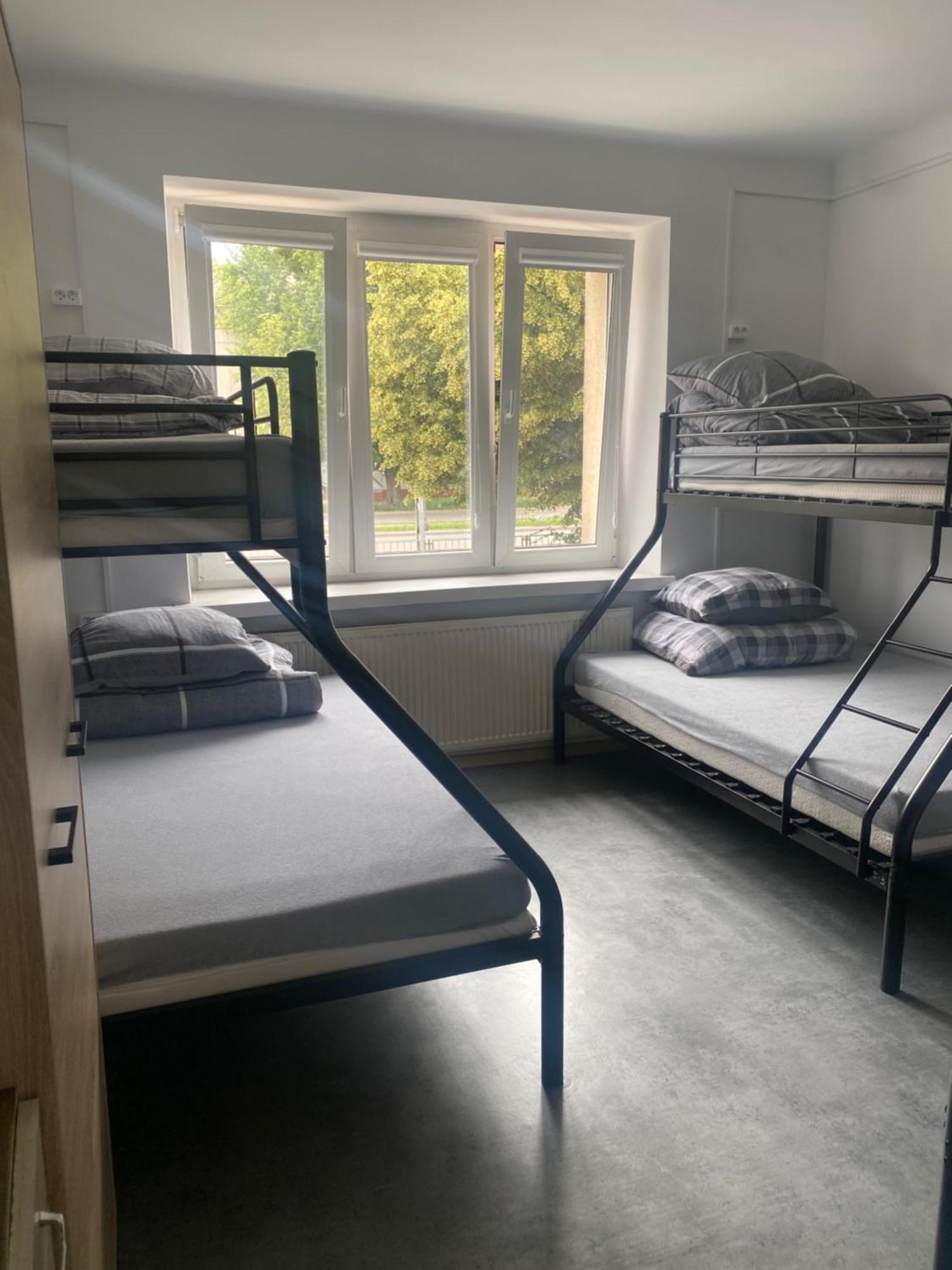 Harmonia Albergue
