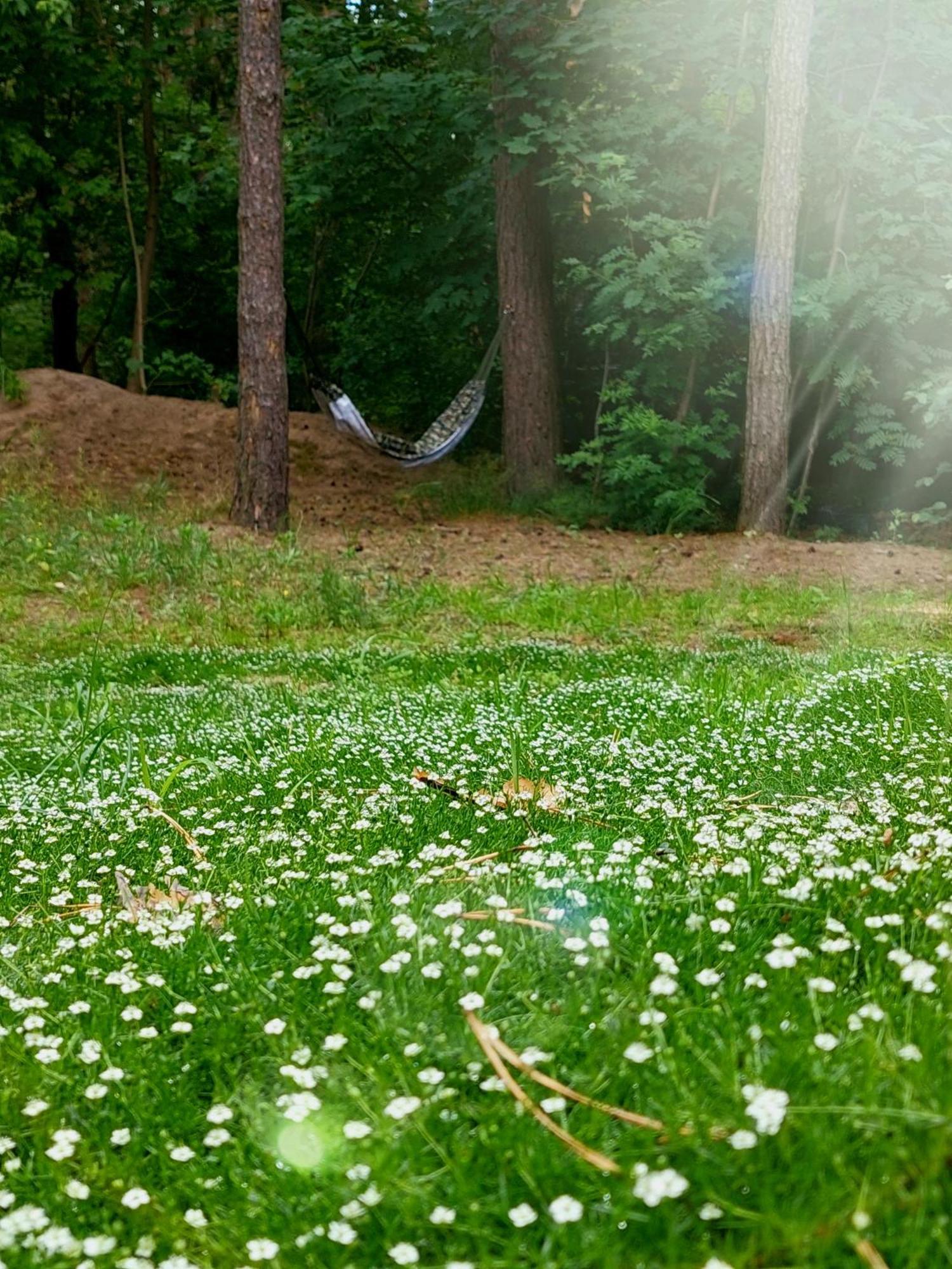 Forrest Style Gościnne Kwatera prywatna *