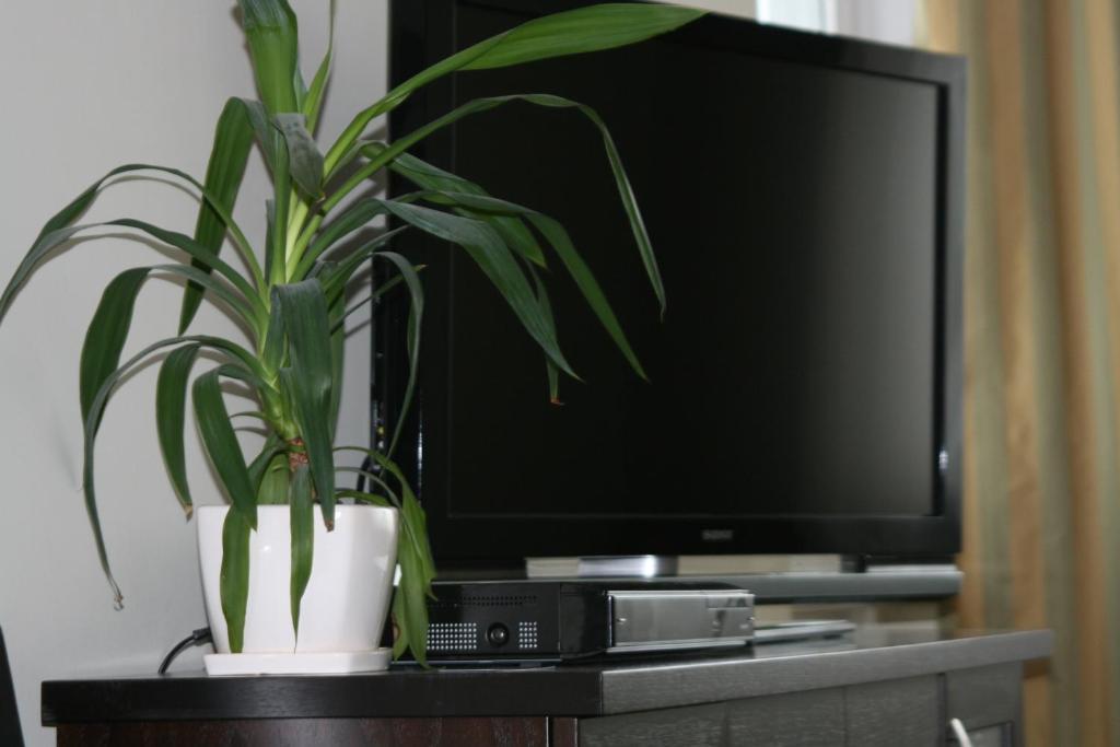 Apartament Widok Apartment *