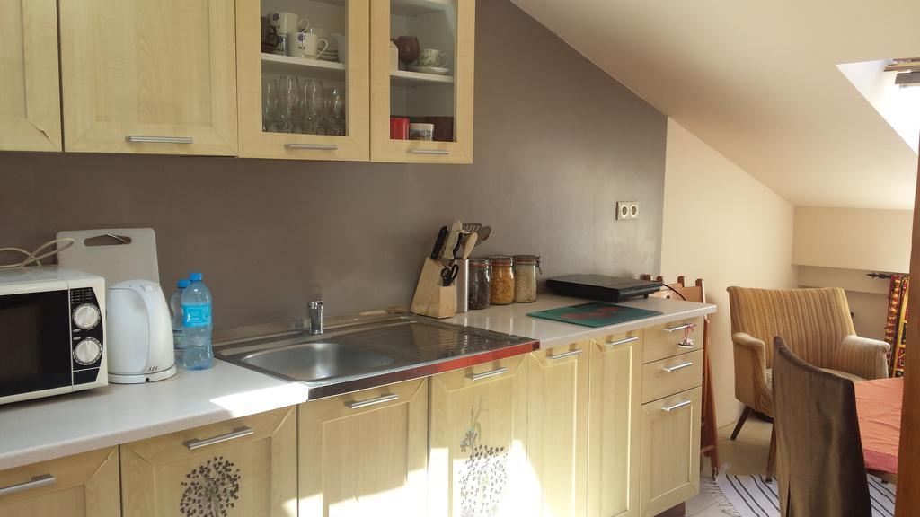 Apartment Fryderyk Warsaw