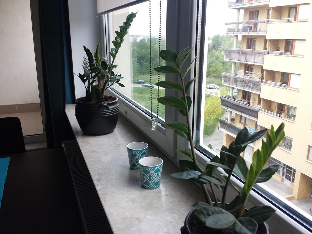 Apartment Alternatywy 4 *